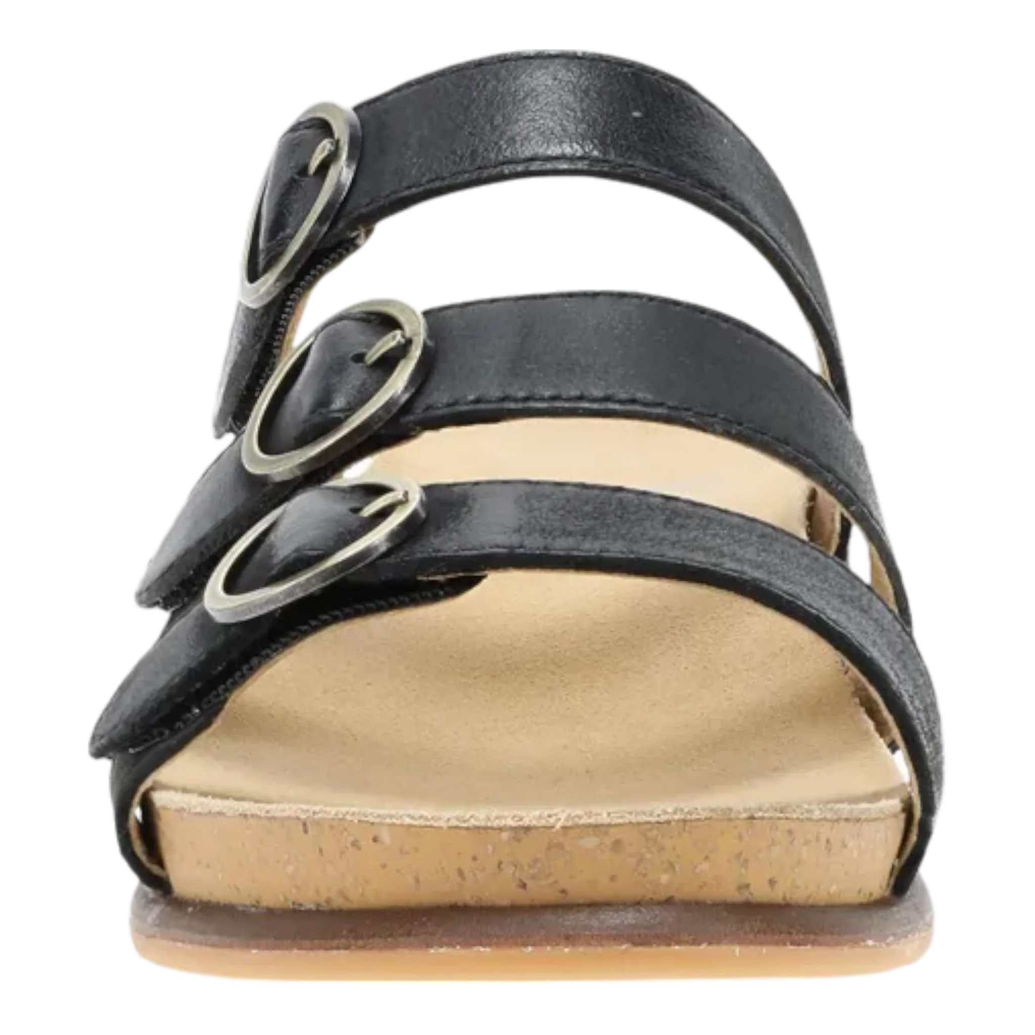 Campbell - Image 4