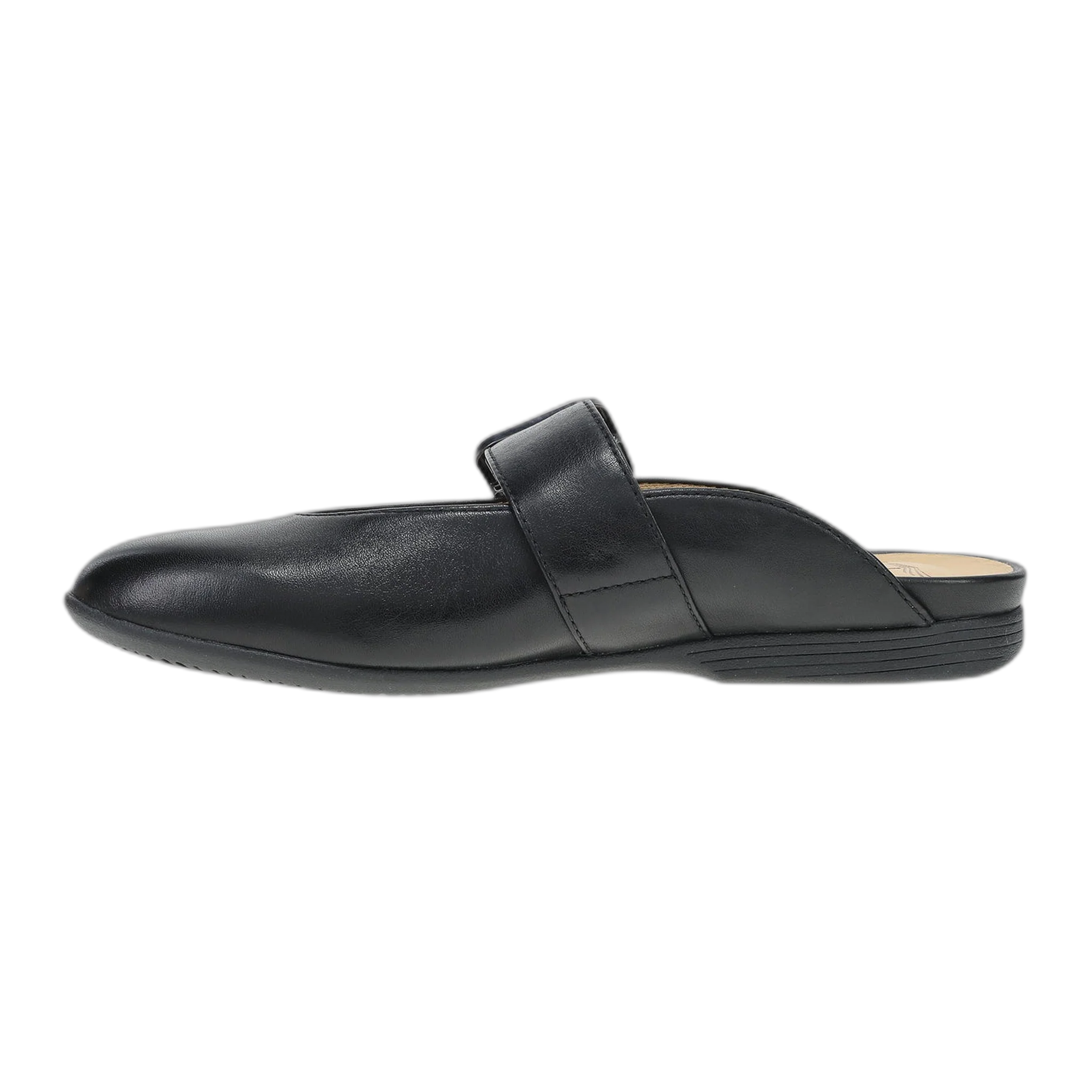 Lotus - Image 2