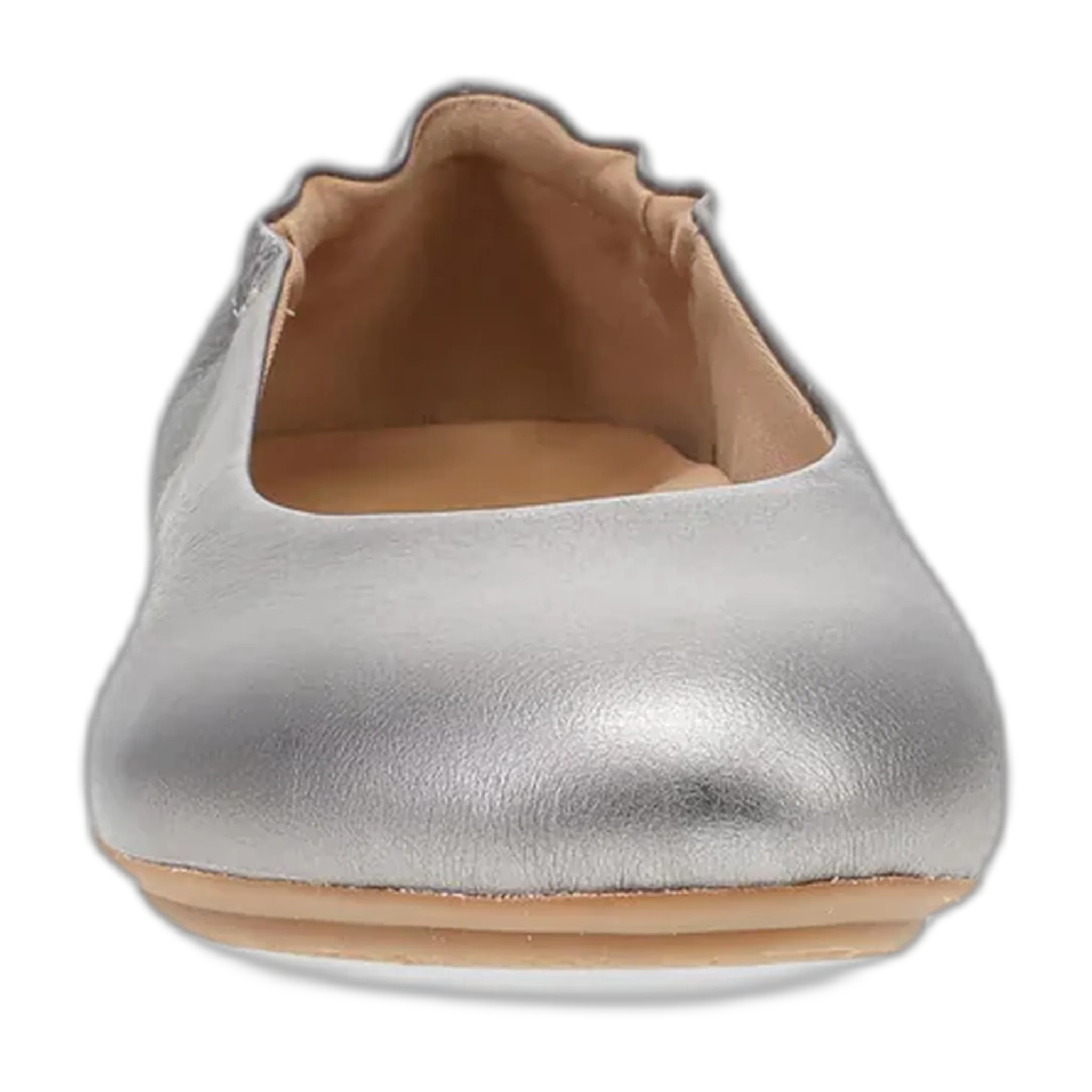 Mollie - Image 5