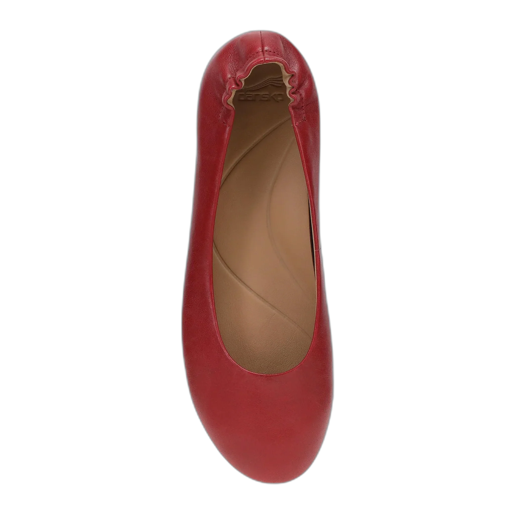 Mollie - Image 5