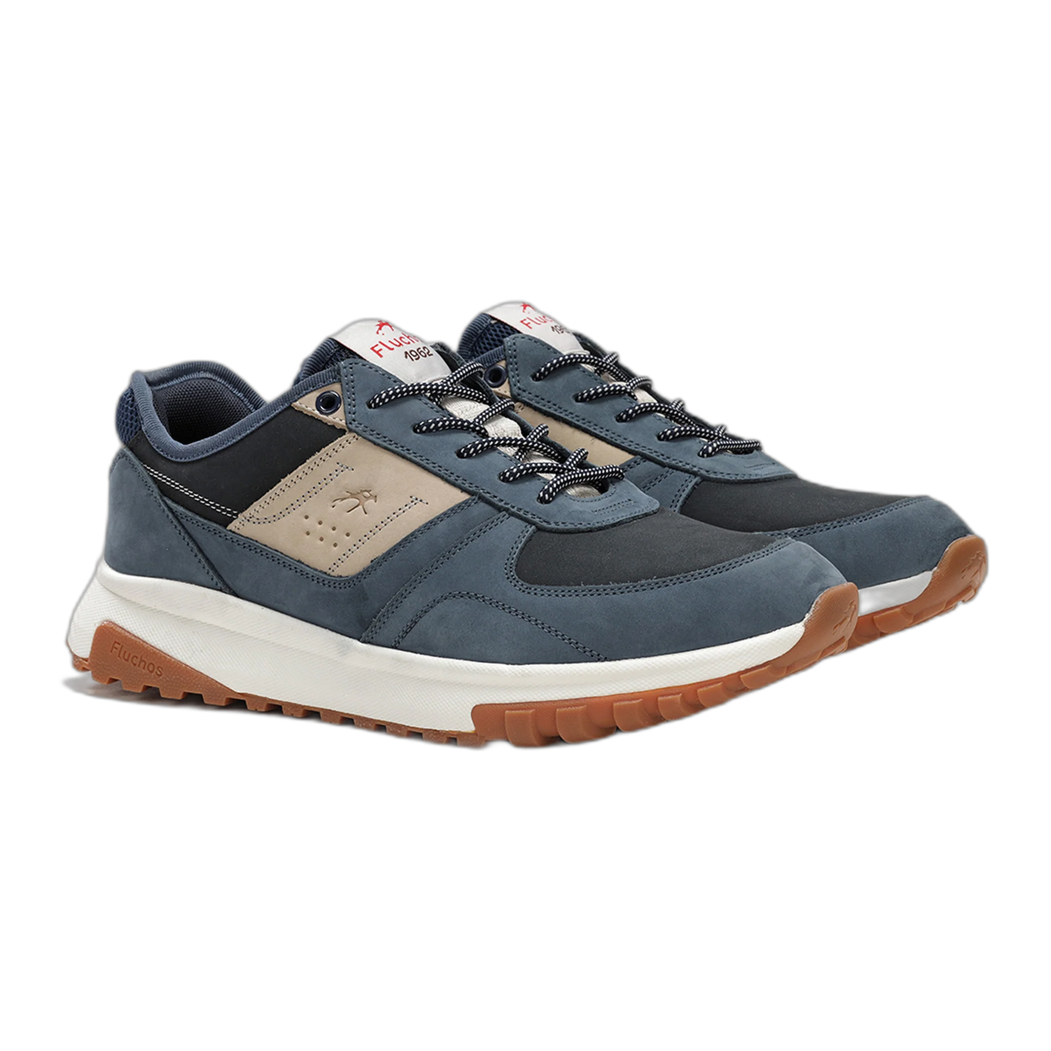 Arion F2012 - Image 2