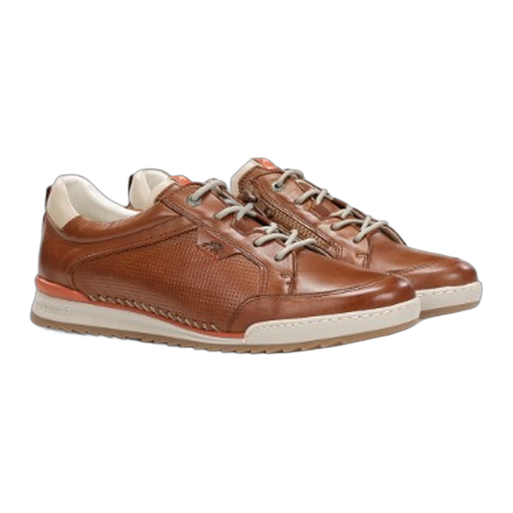 Elder F2179 - Image 2