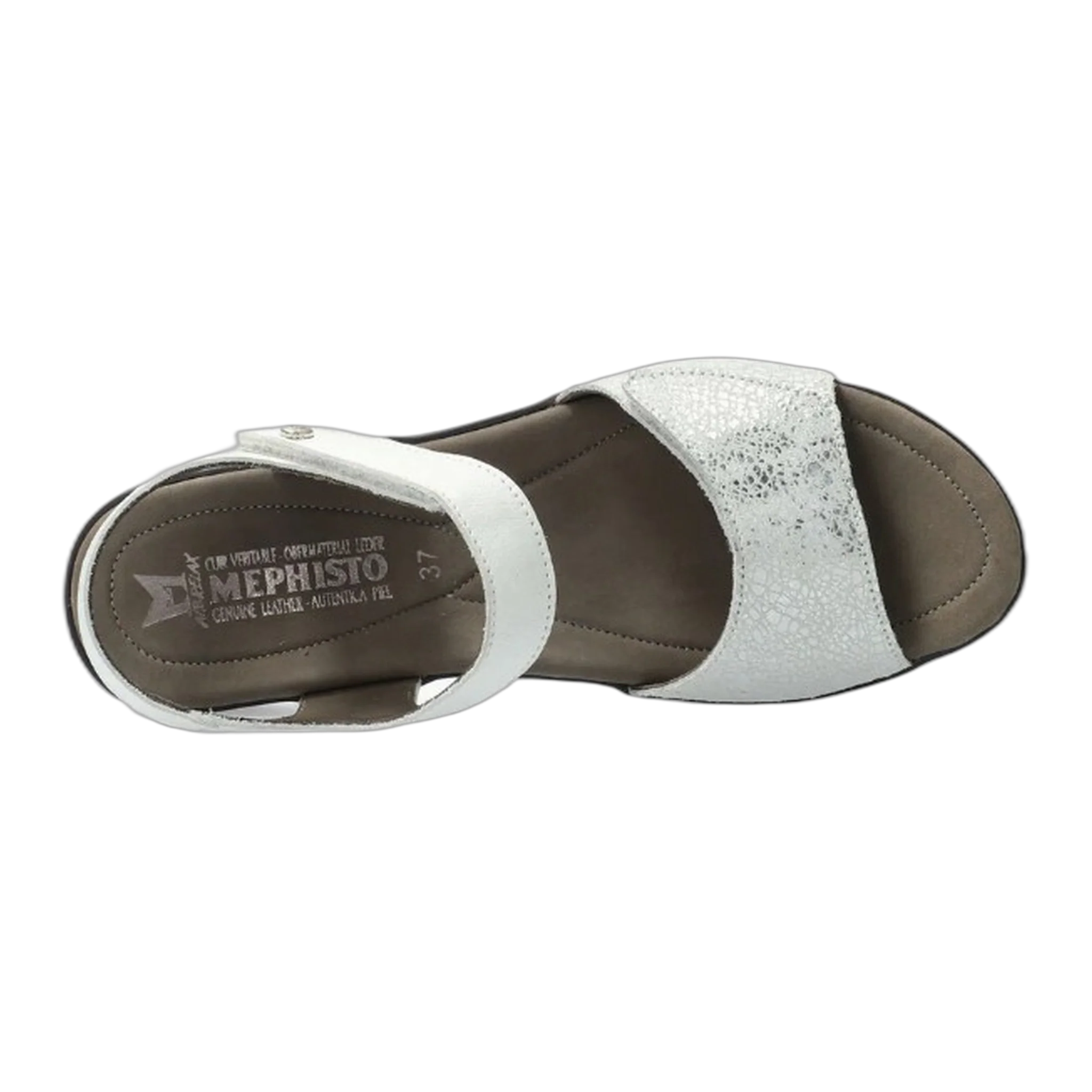 Pattie - Image 3