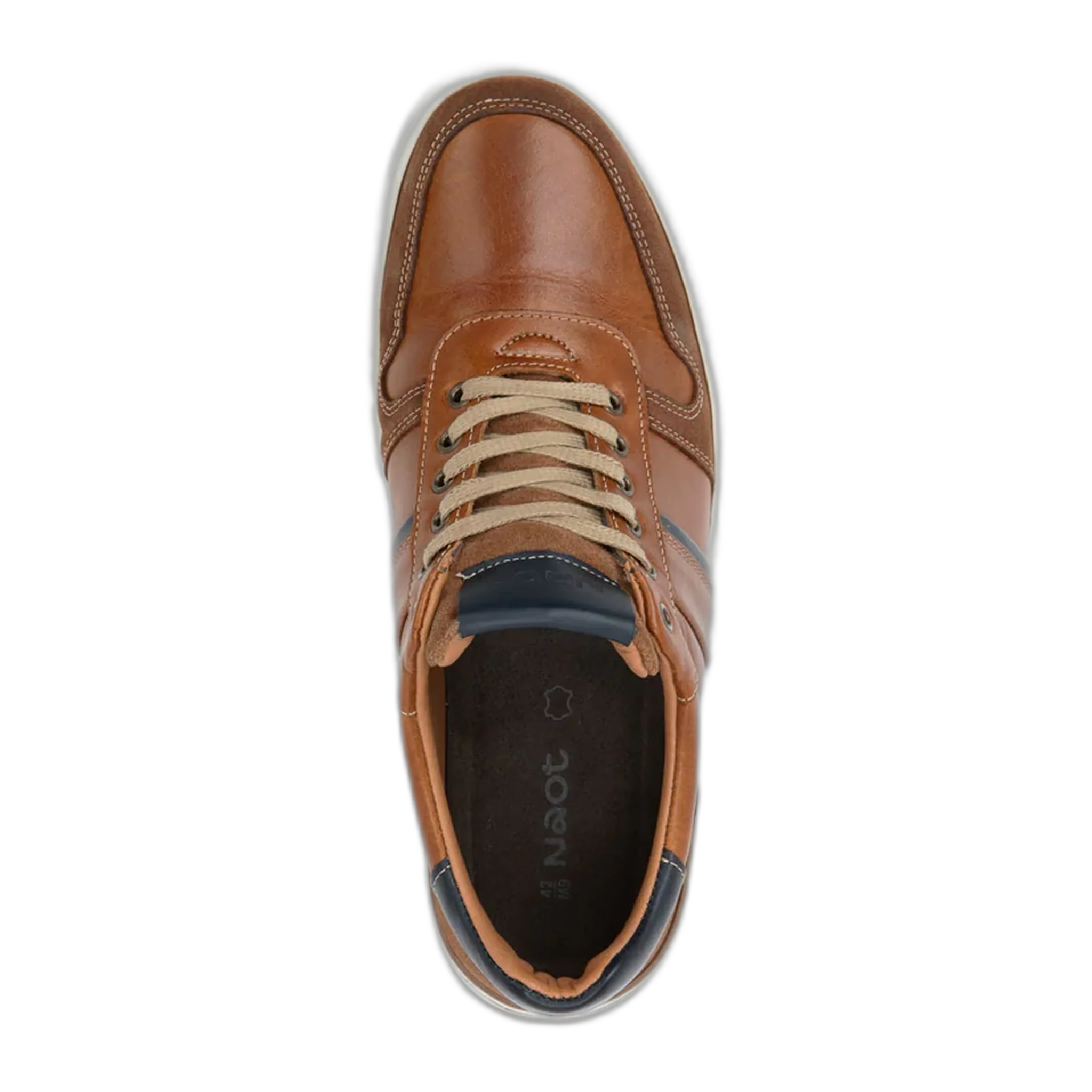 Swift - Image 2