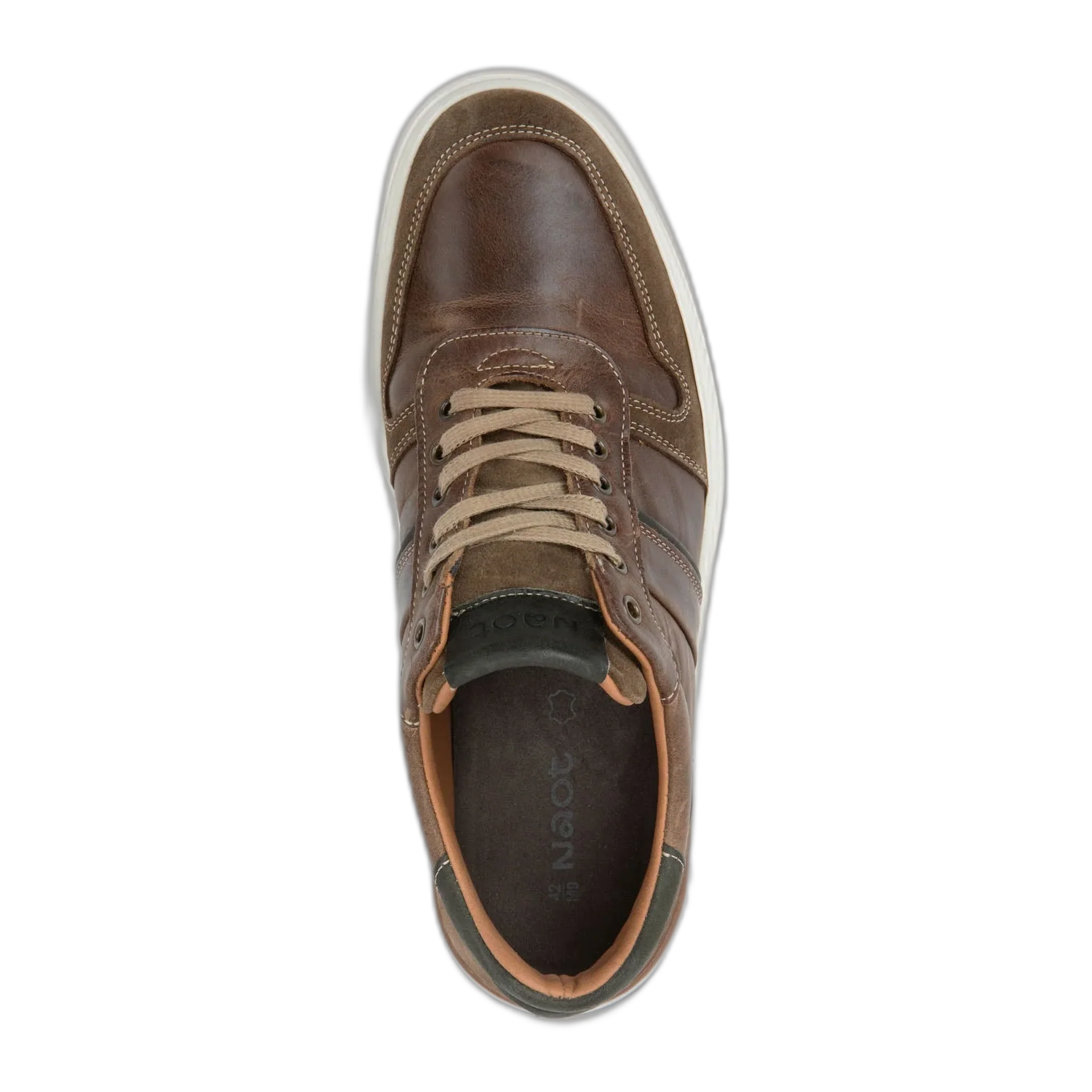 Swift - Image 3
