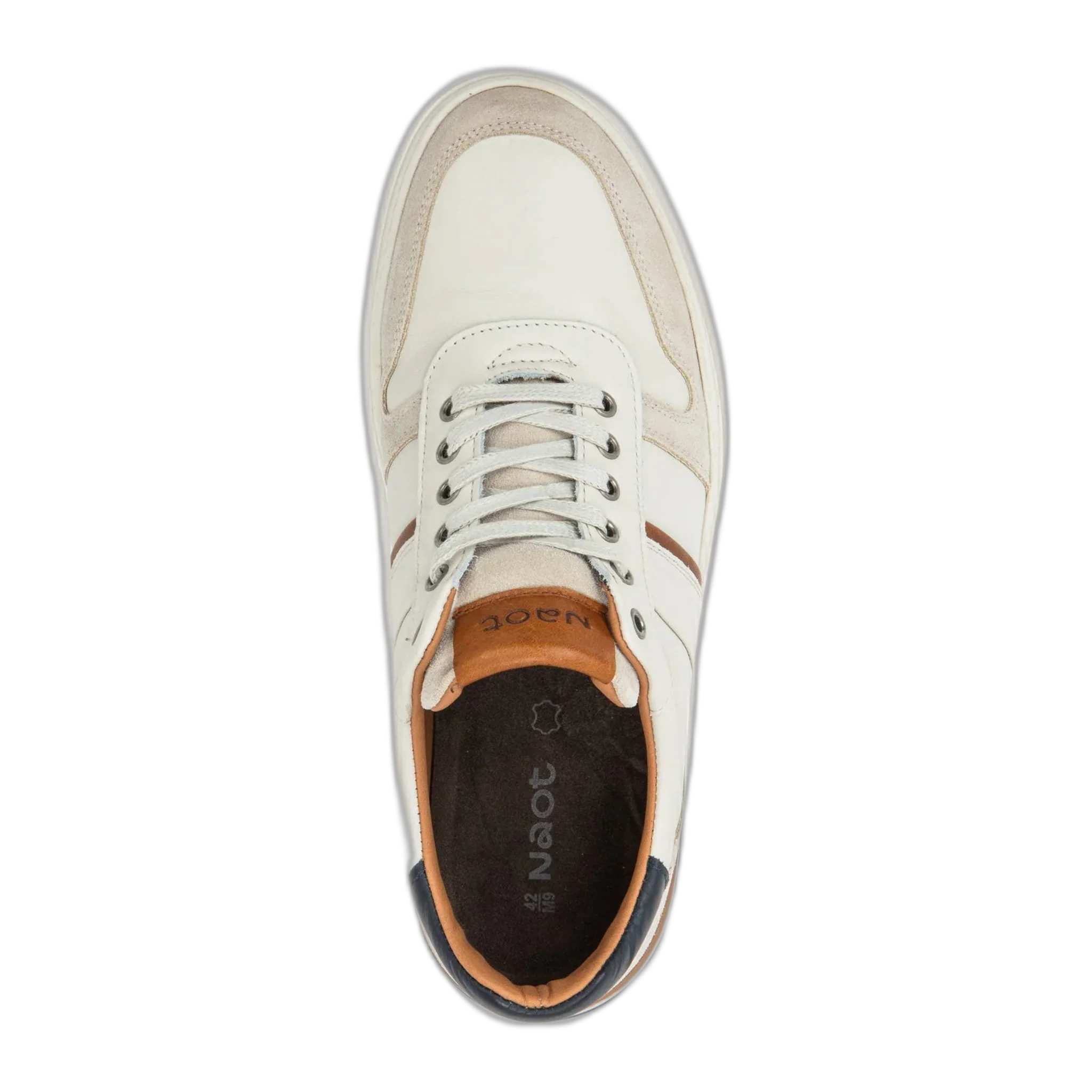 Swift - Image 3
