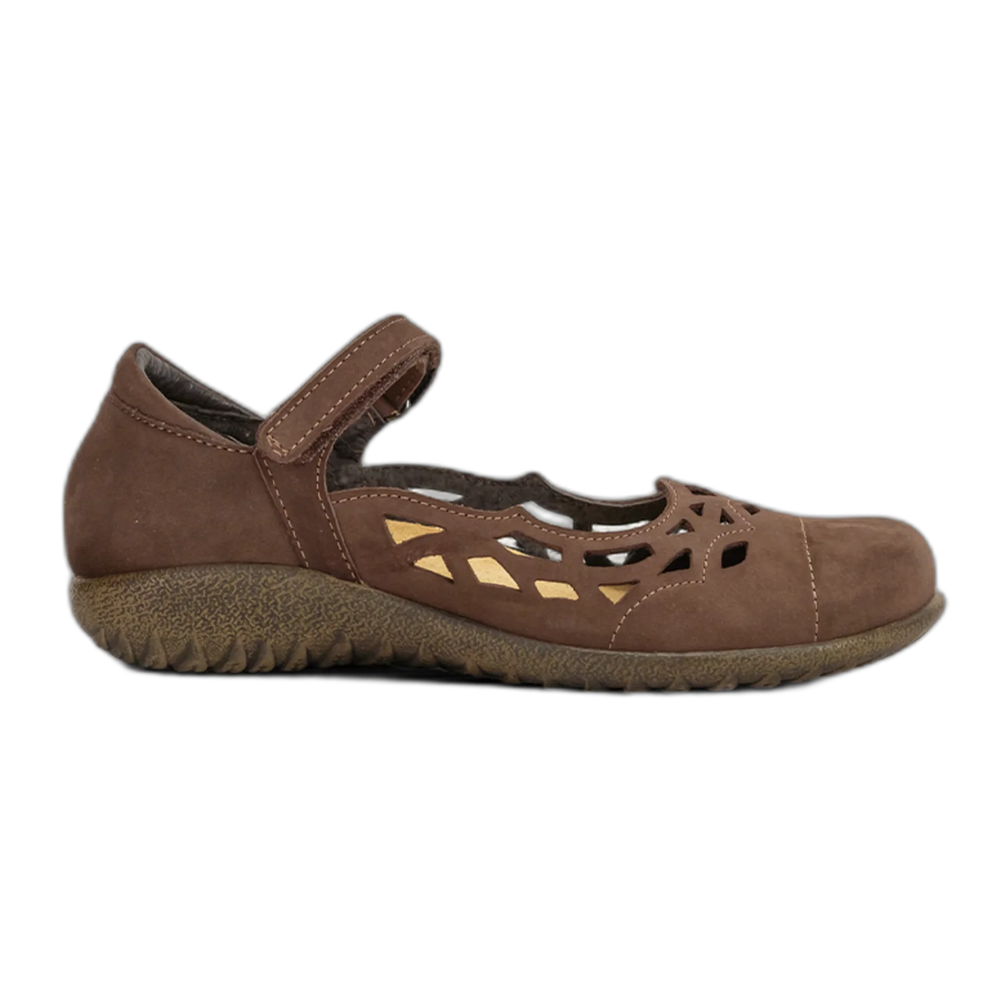 Agathis - Image 2