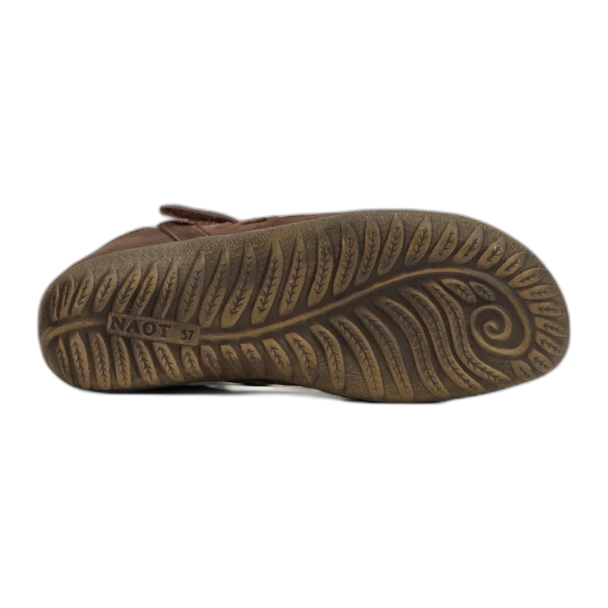 Agathis - Image 3