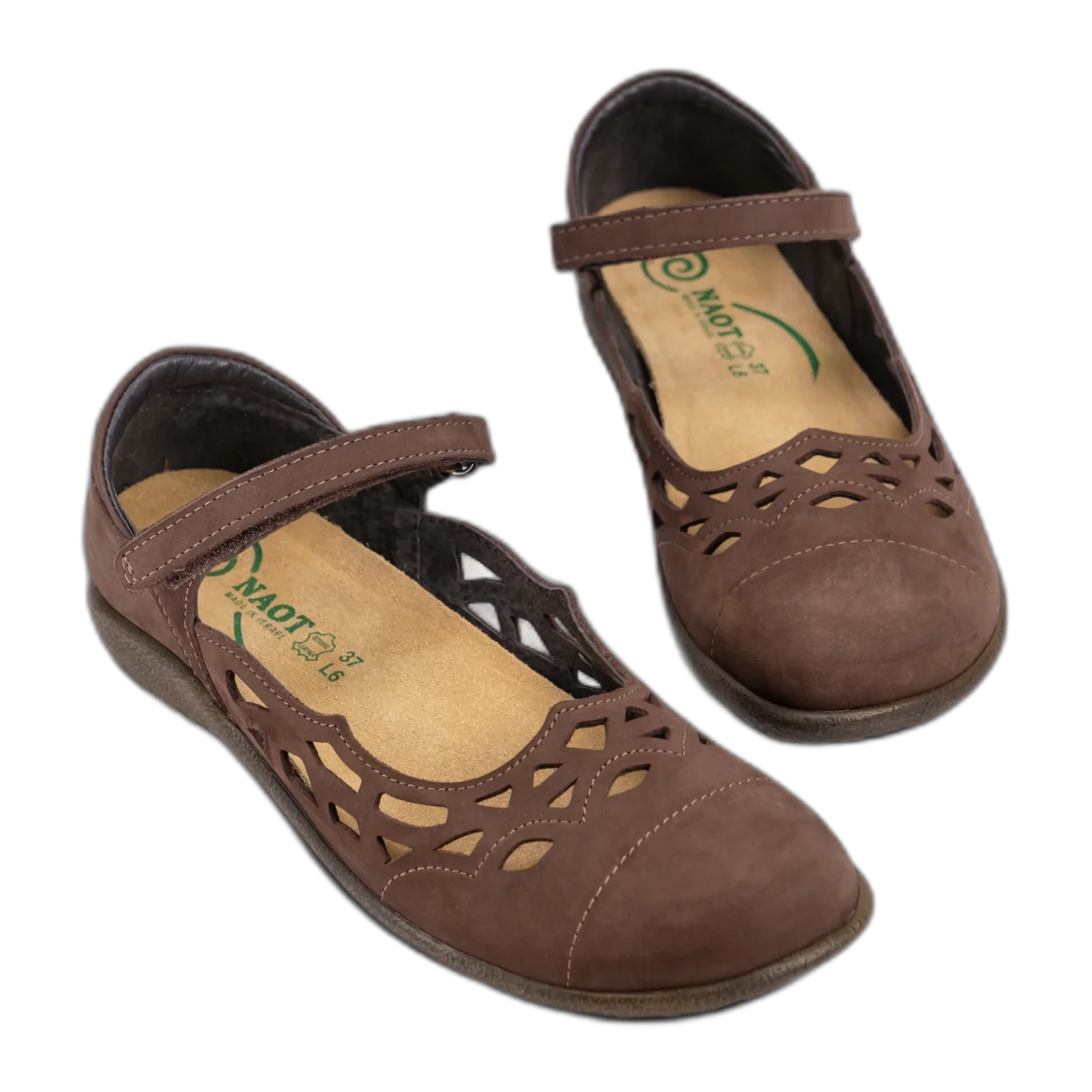 Agathis - Image 4