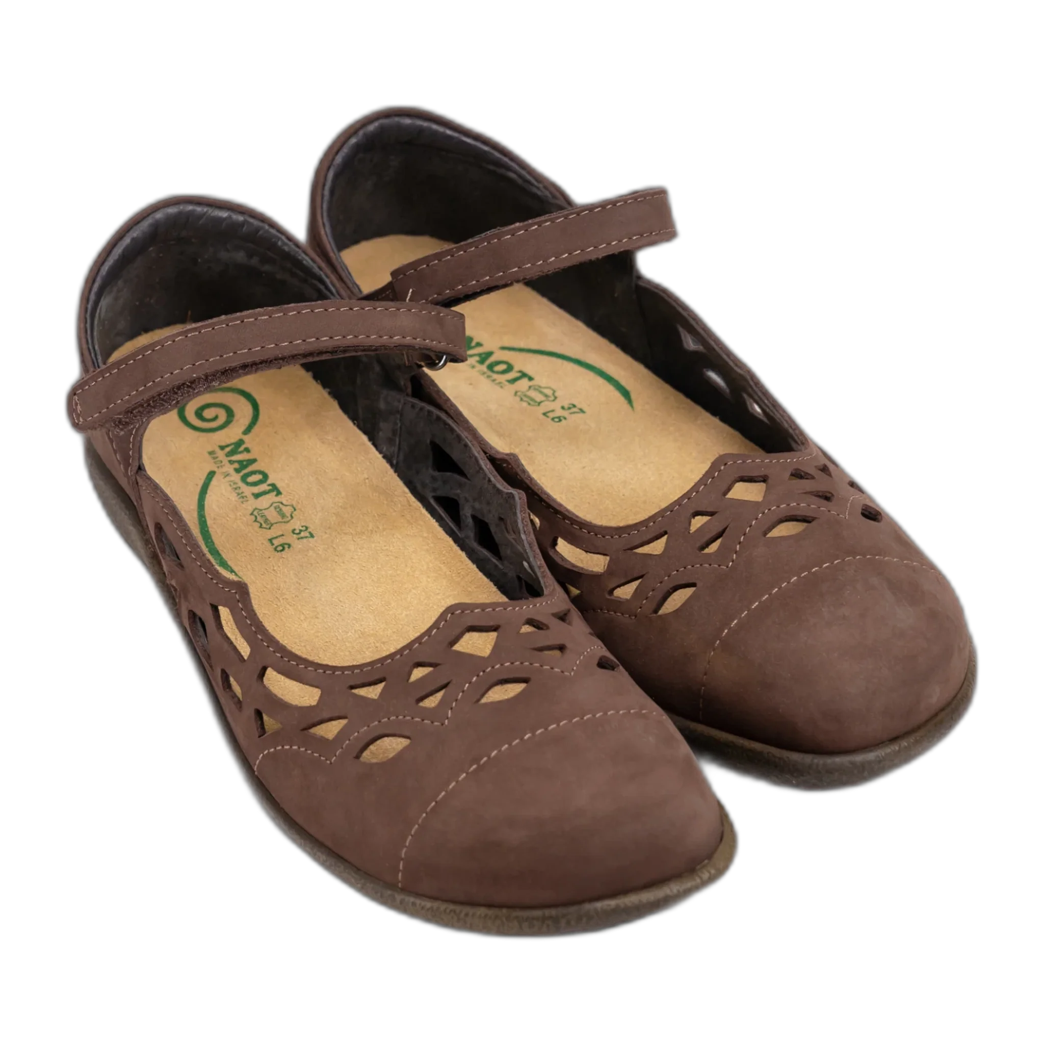 Agathis - Image 6