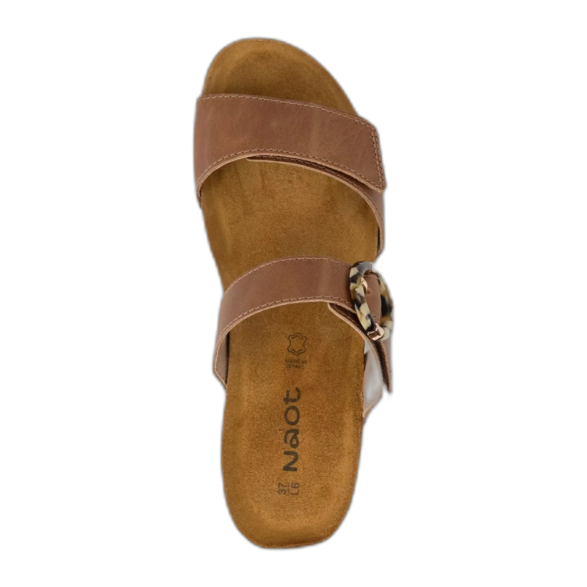 Anabel - Image 3