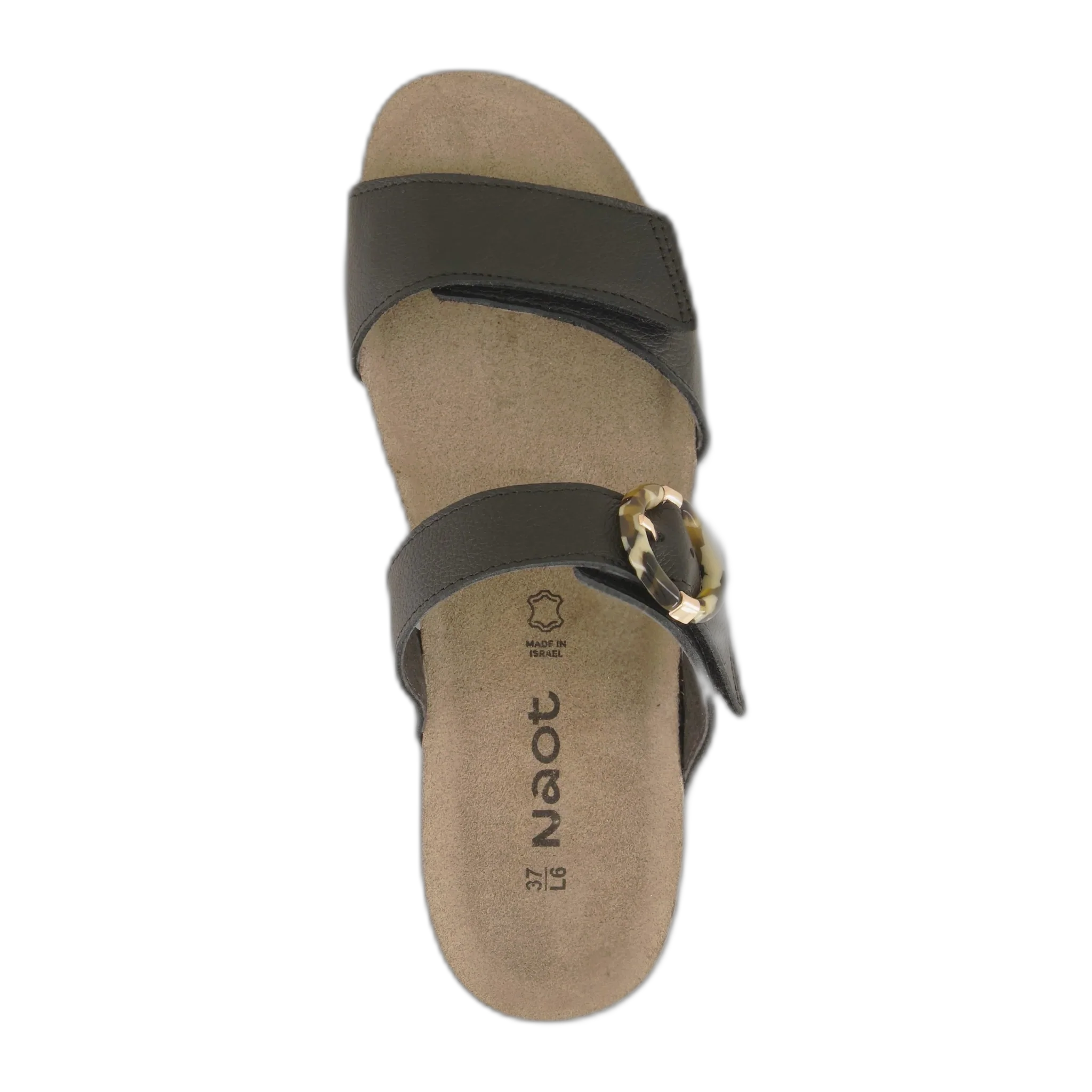 Anabel - Image 3