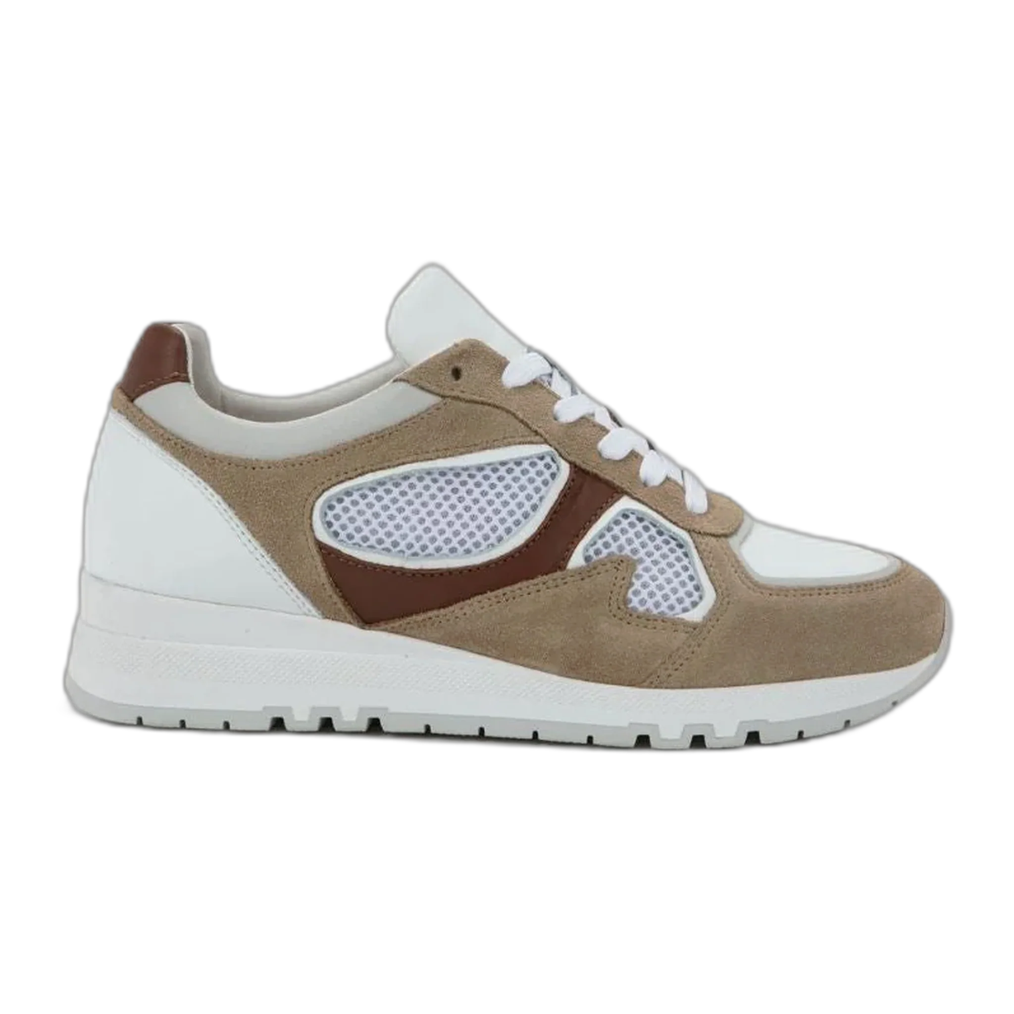 Collins - Image 2