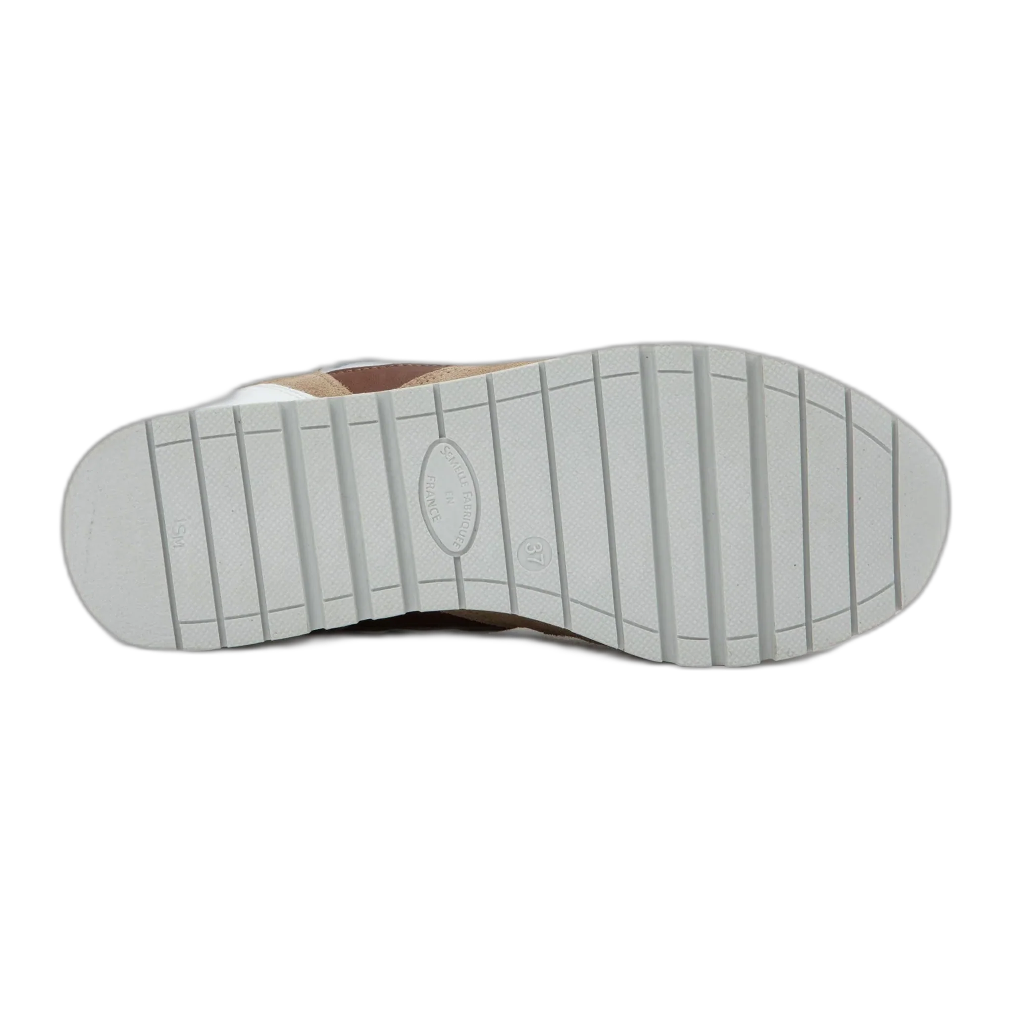 Collins - Image 4