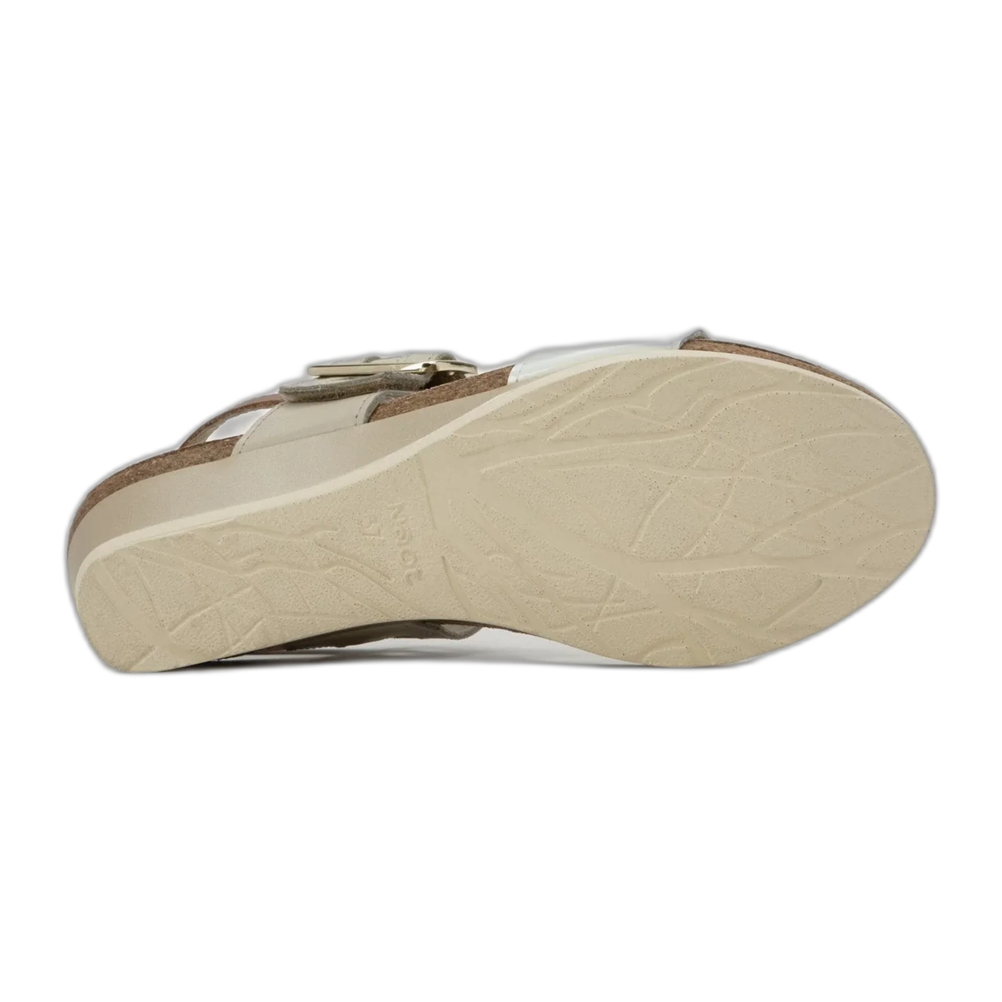 Dynasty - Image 4