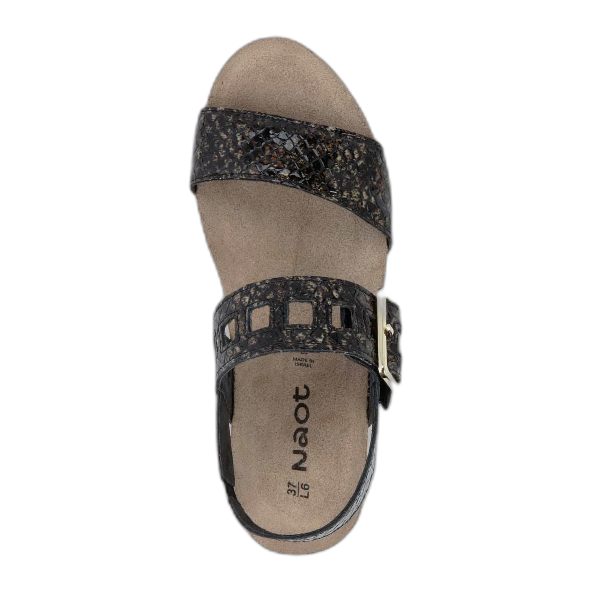 Dynasty - Image 4
