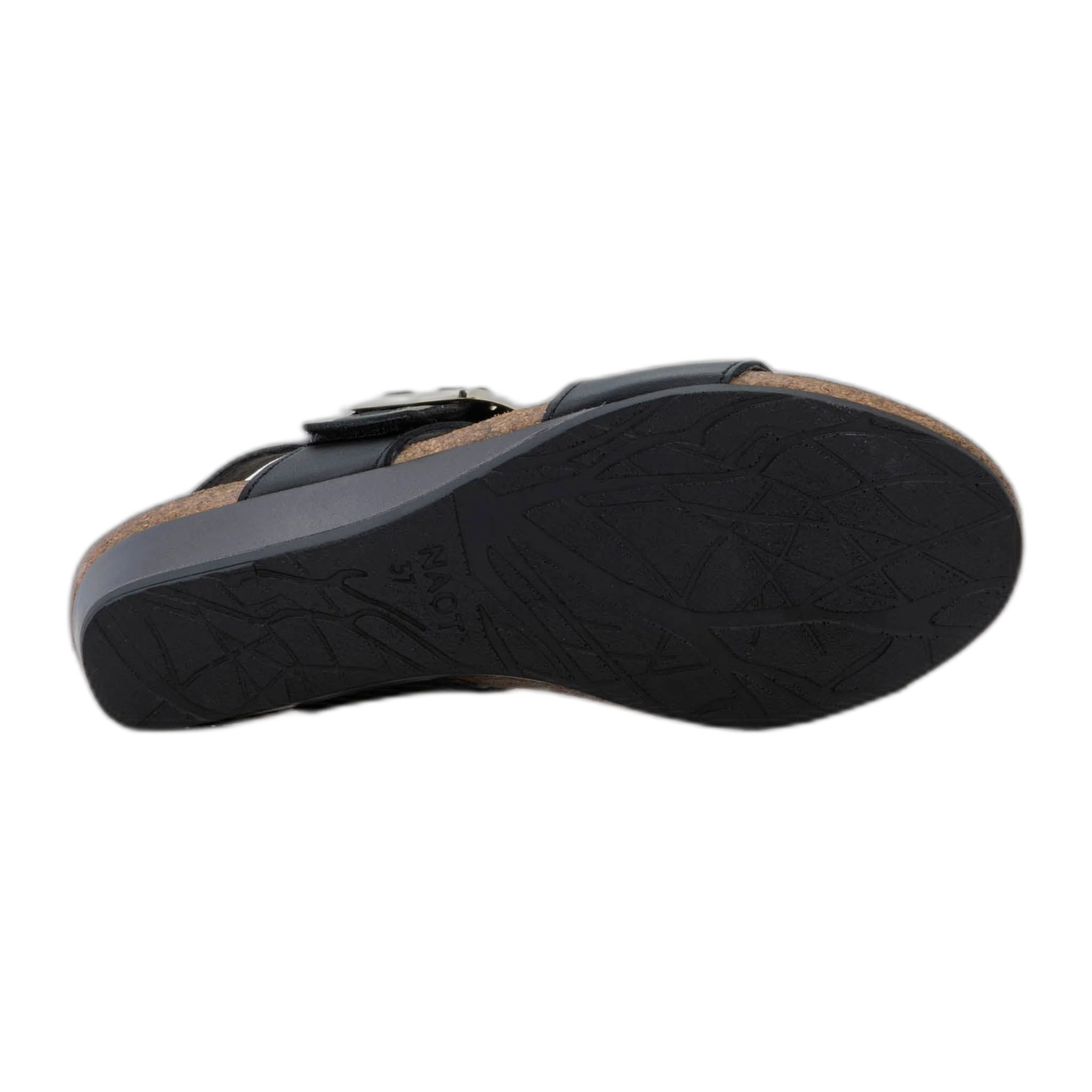 Dynasty - Image 6