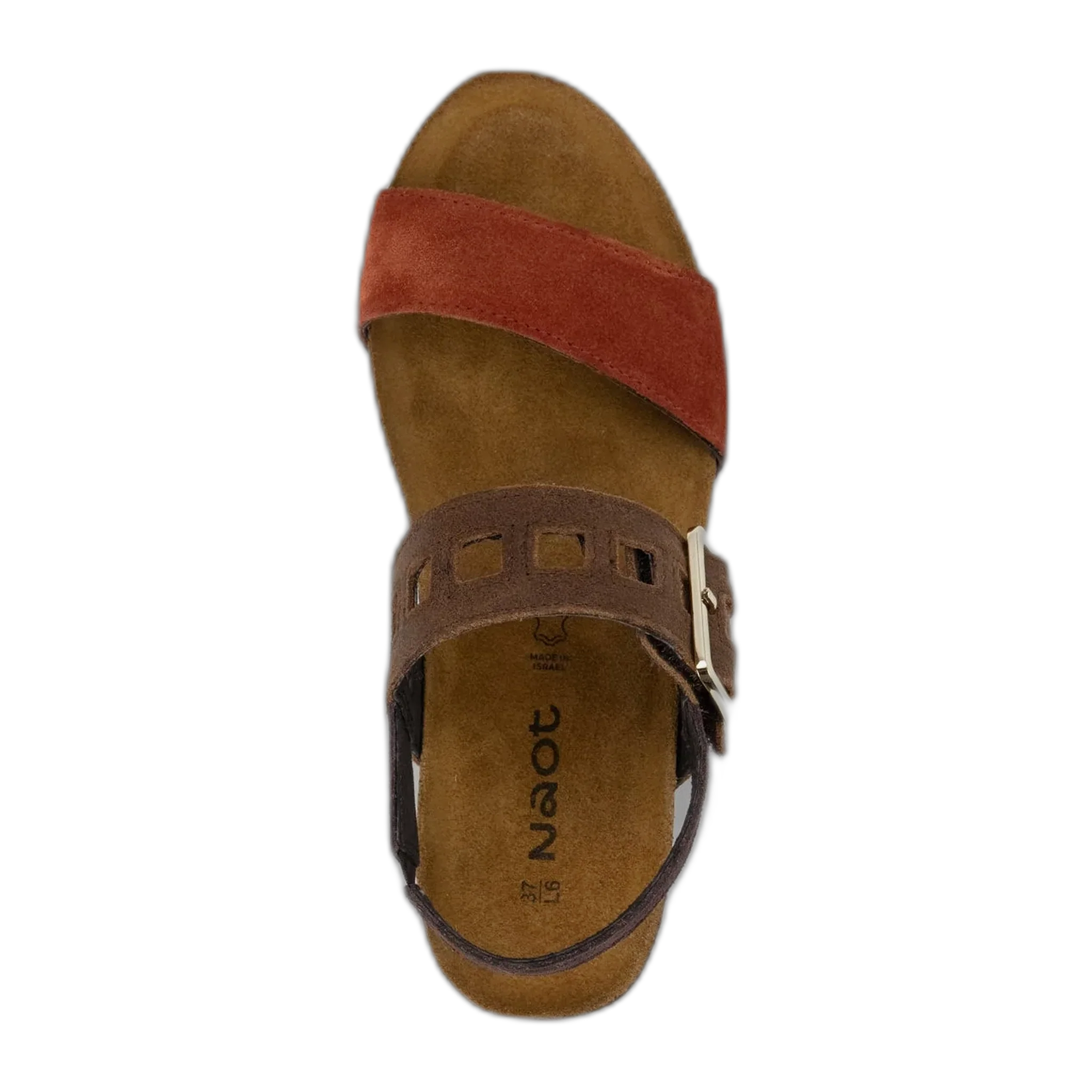 Dynasty - Image 3