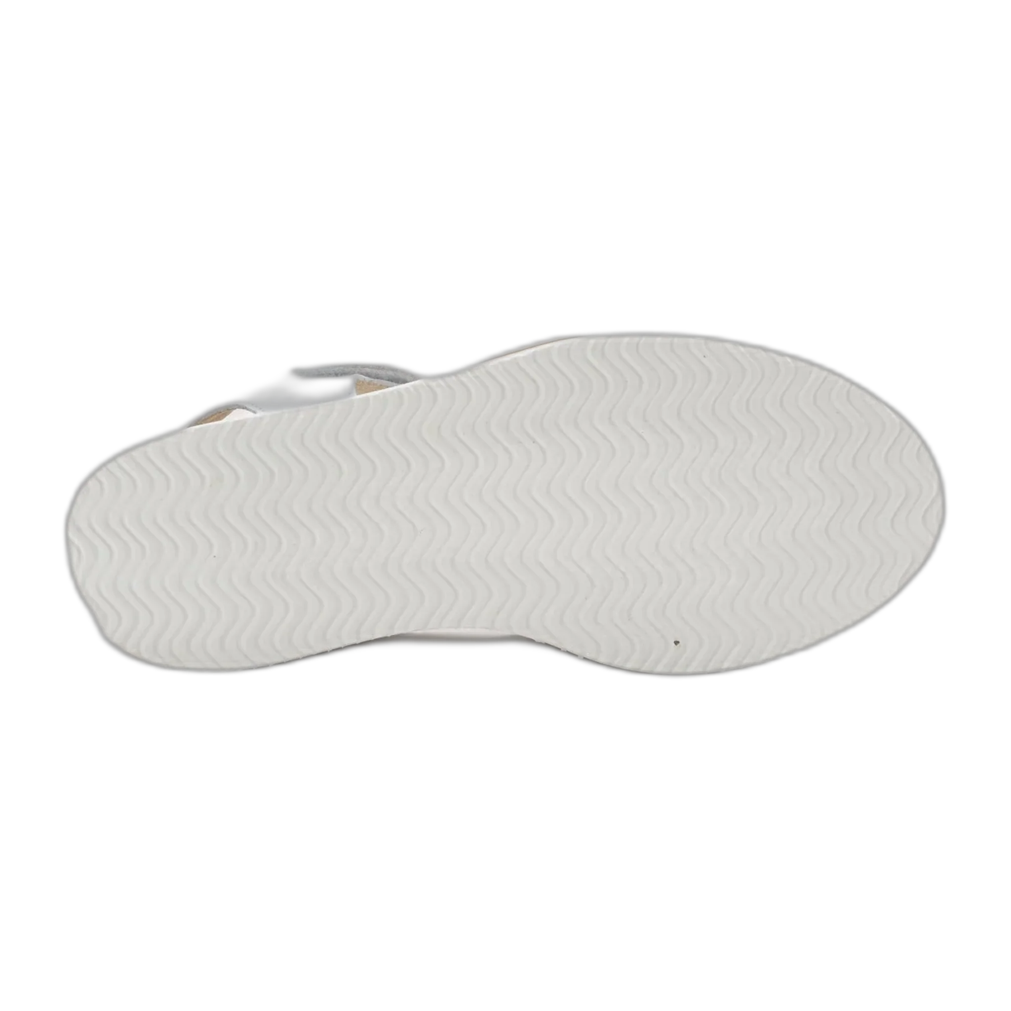 Pavlova - Image 4