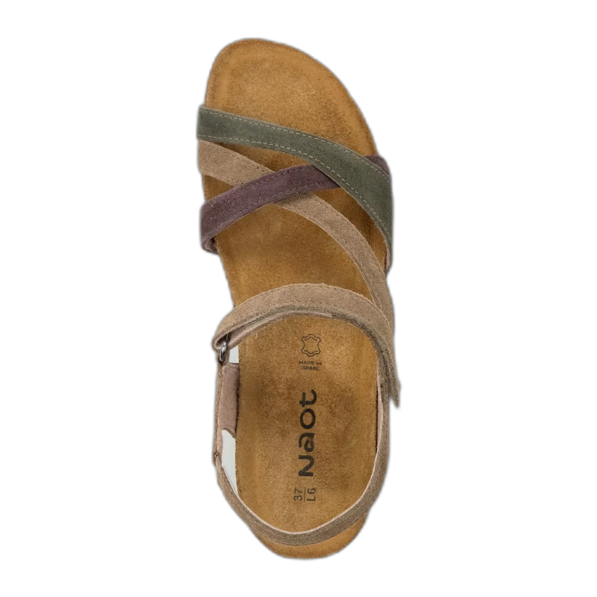 Sophia - Image 3