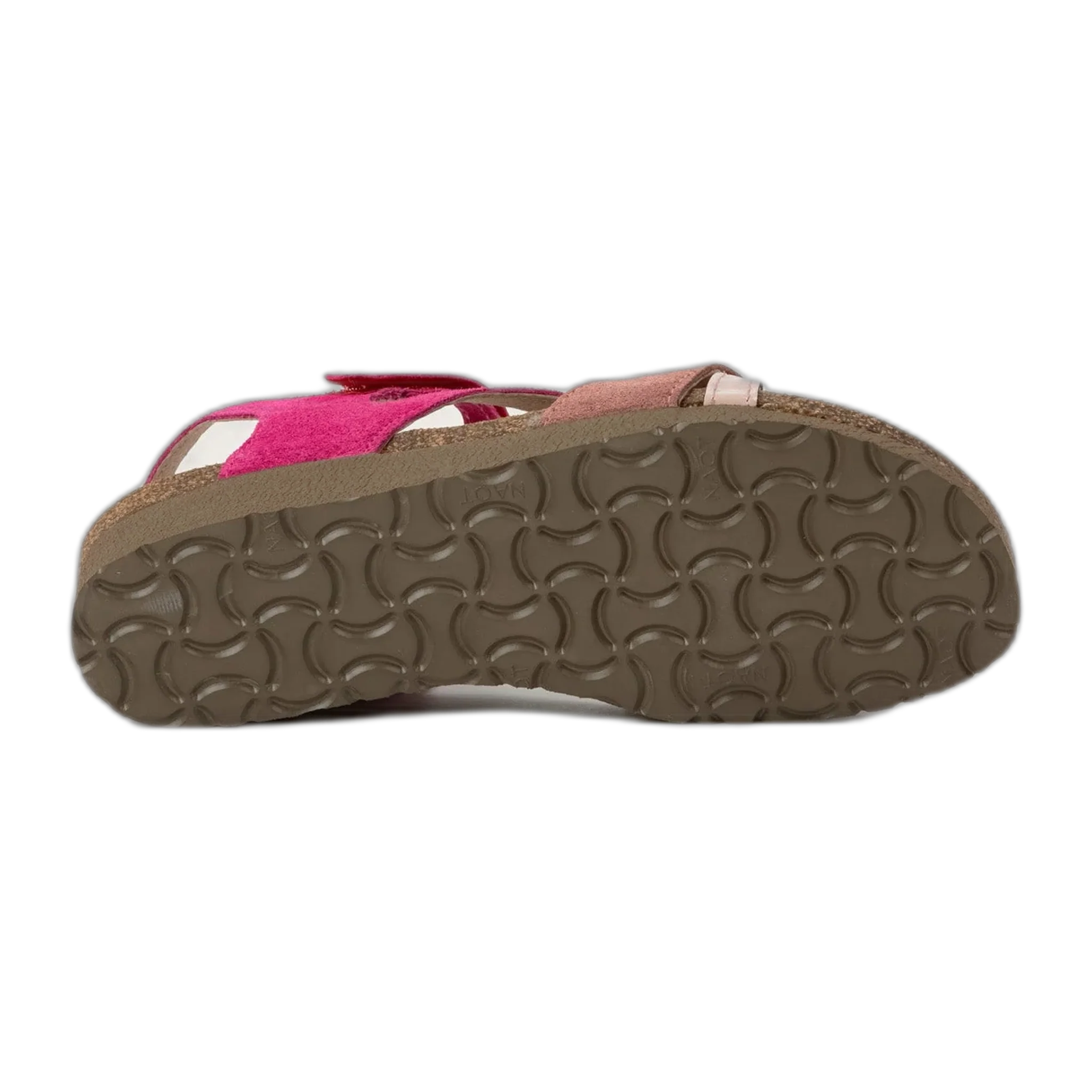 Sophia - Image 4