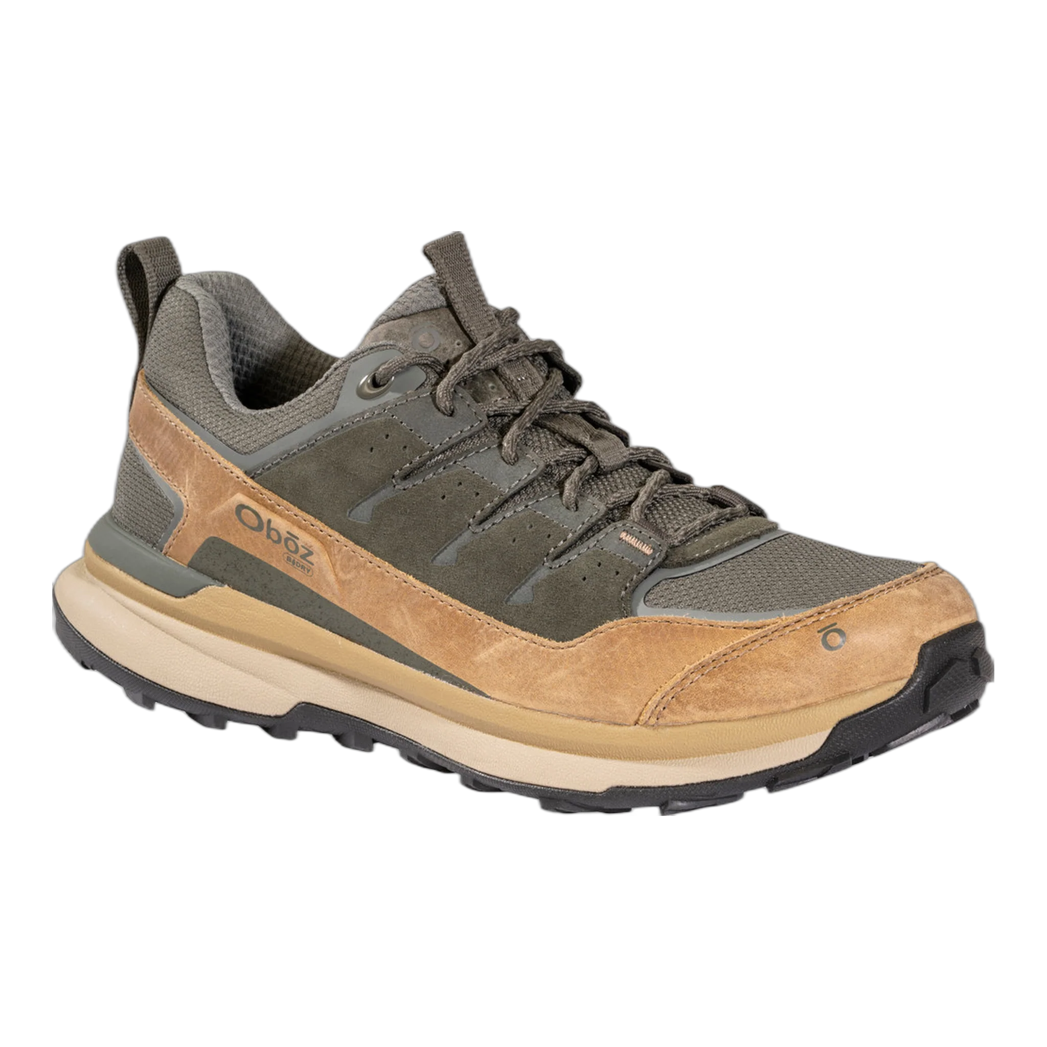 Men's Hyalite Low Waterproof