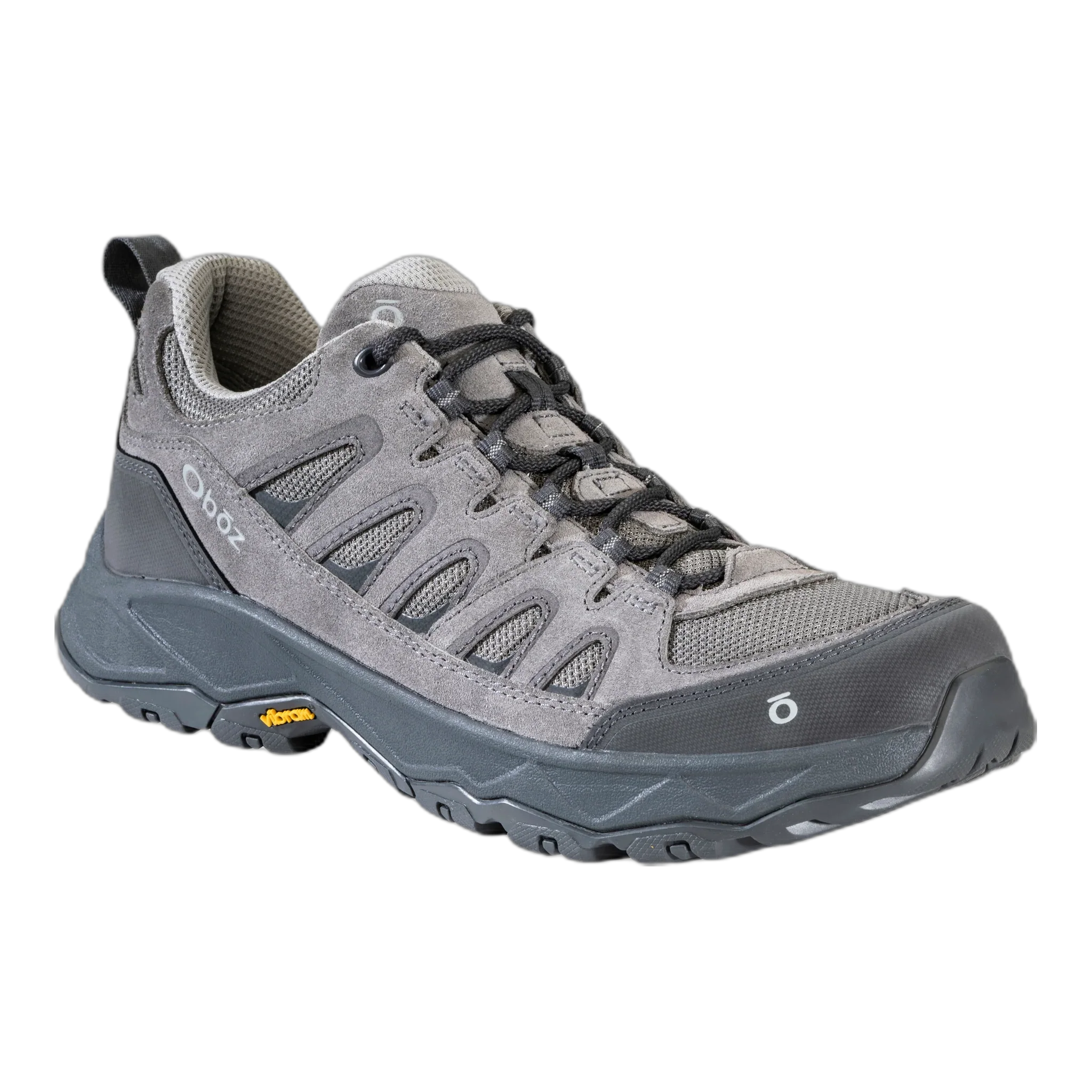 Men's Sawtooth Ascent Low