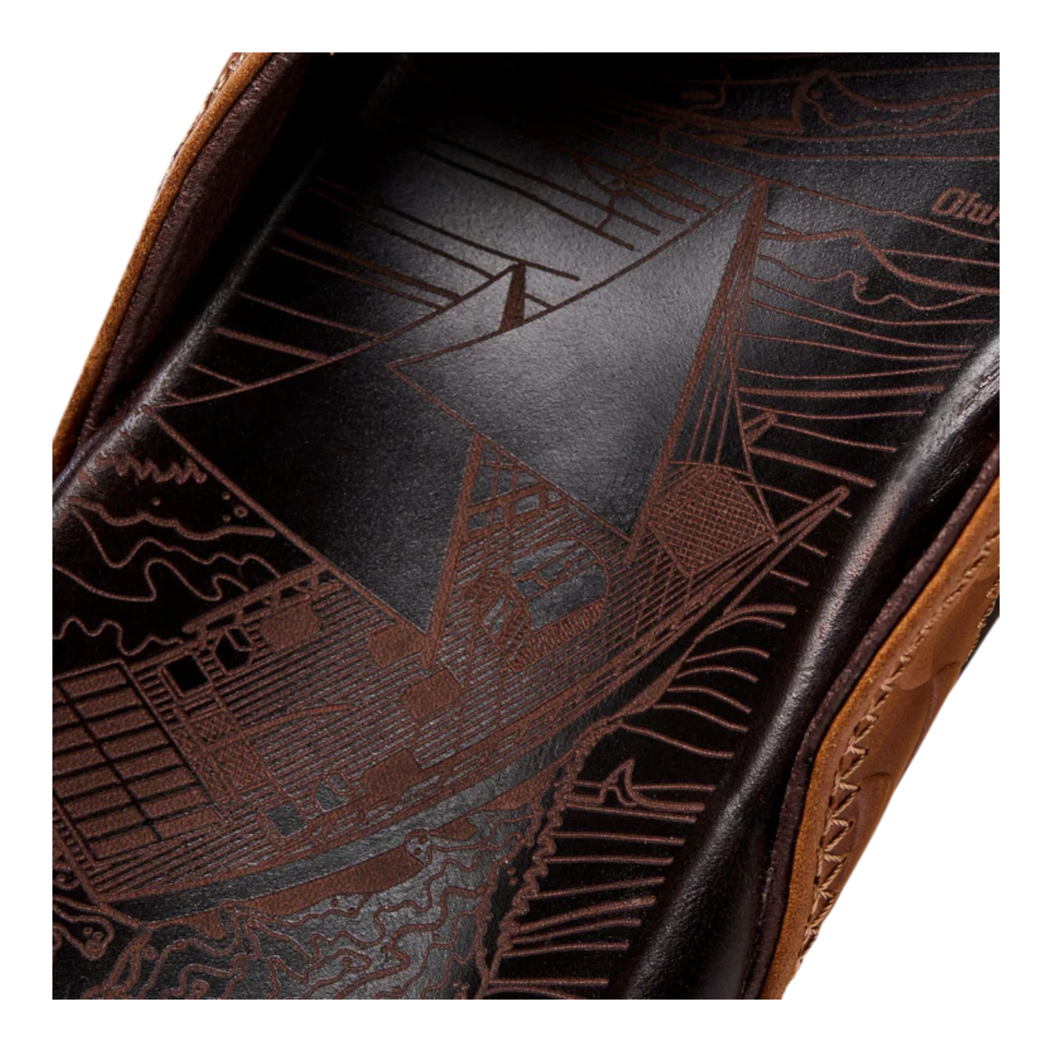 Hikianalia - Image 3
