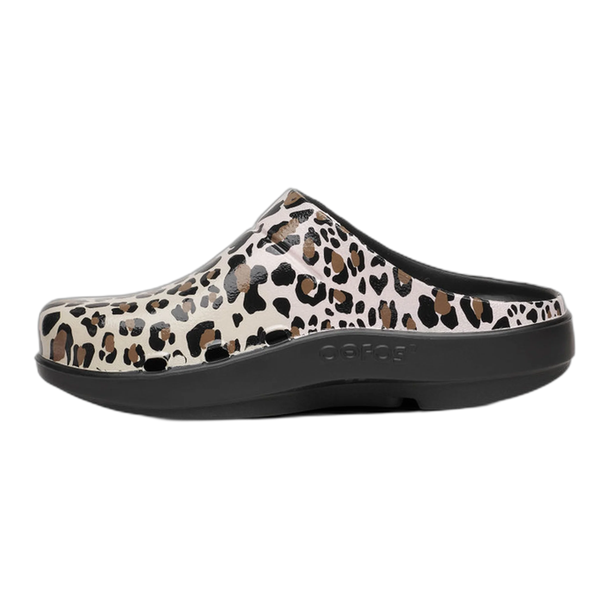 OOcloog Limited Edition - Image 3