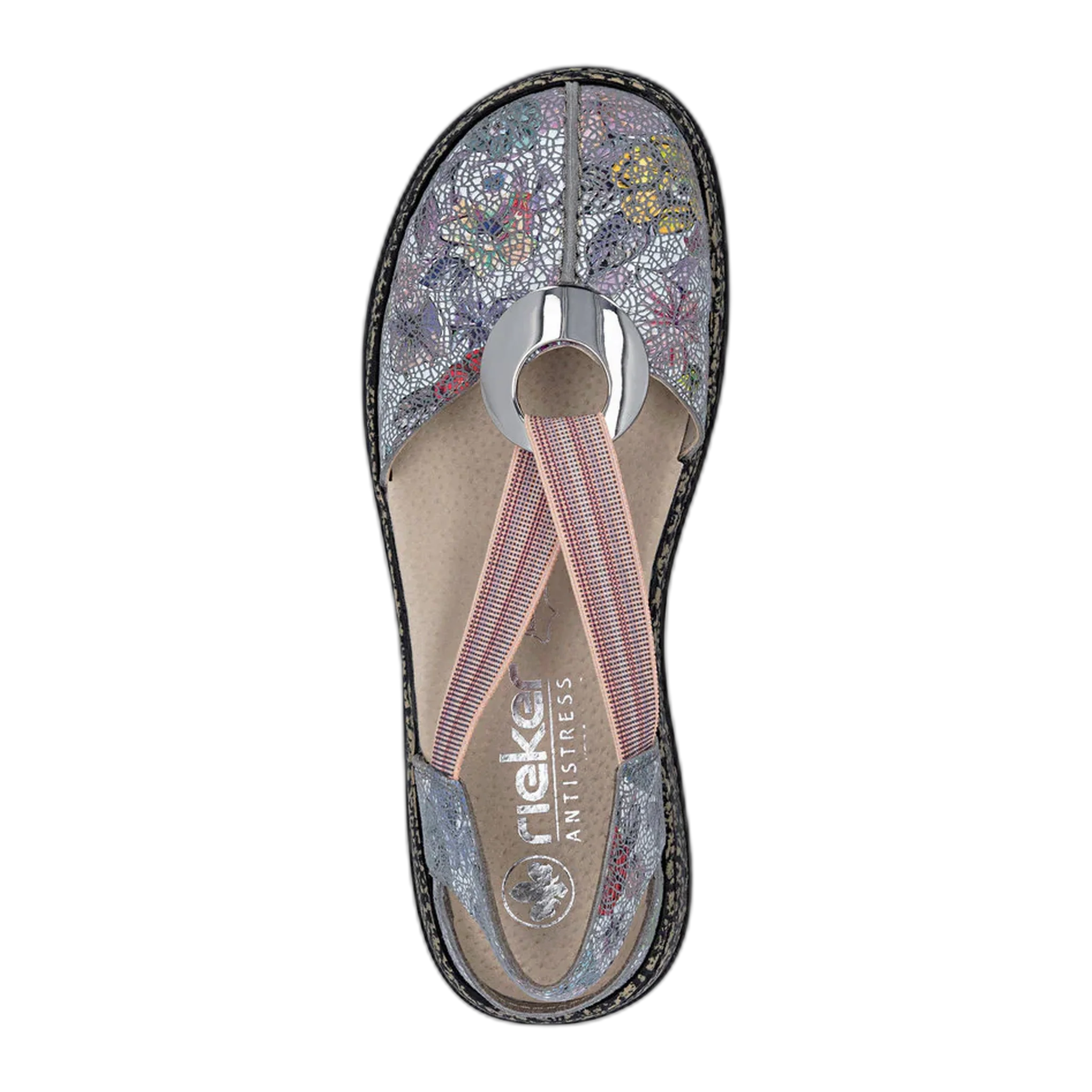 46361 Daisy - Image 4