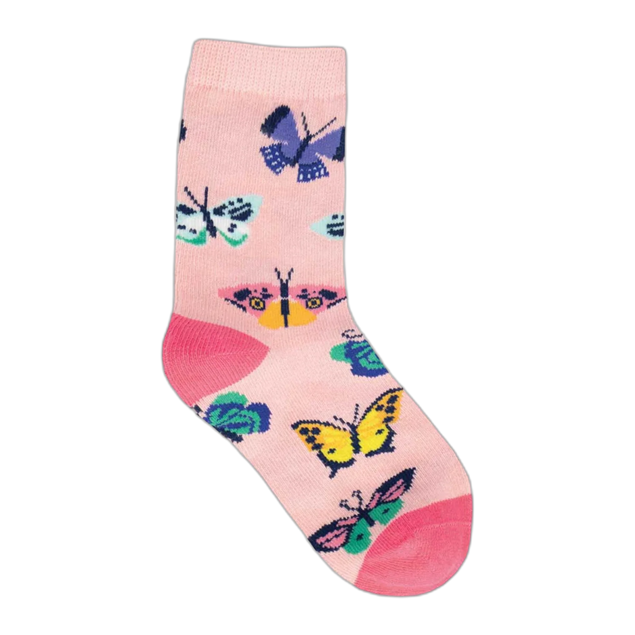 Butterfly Migration (4-7 Years)