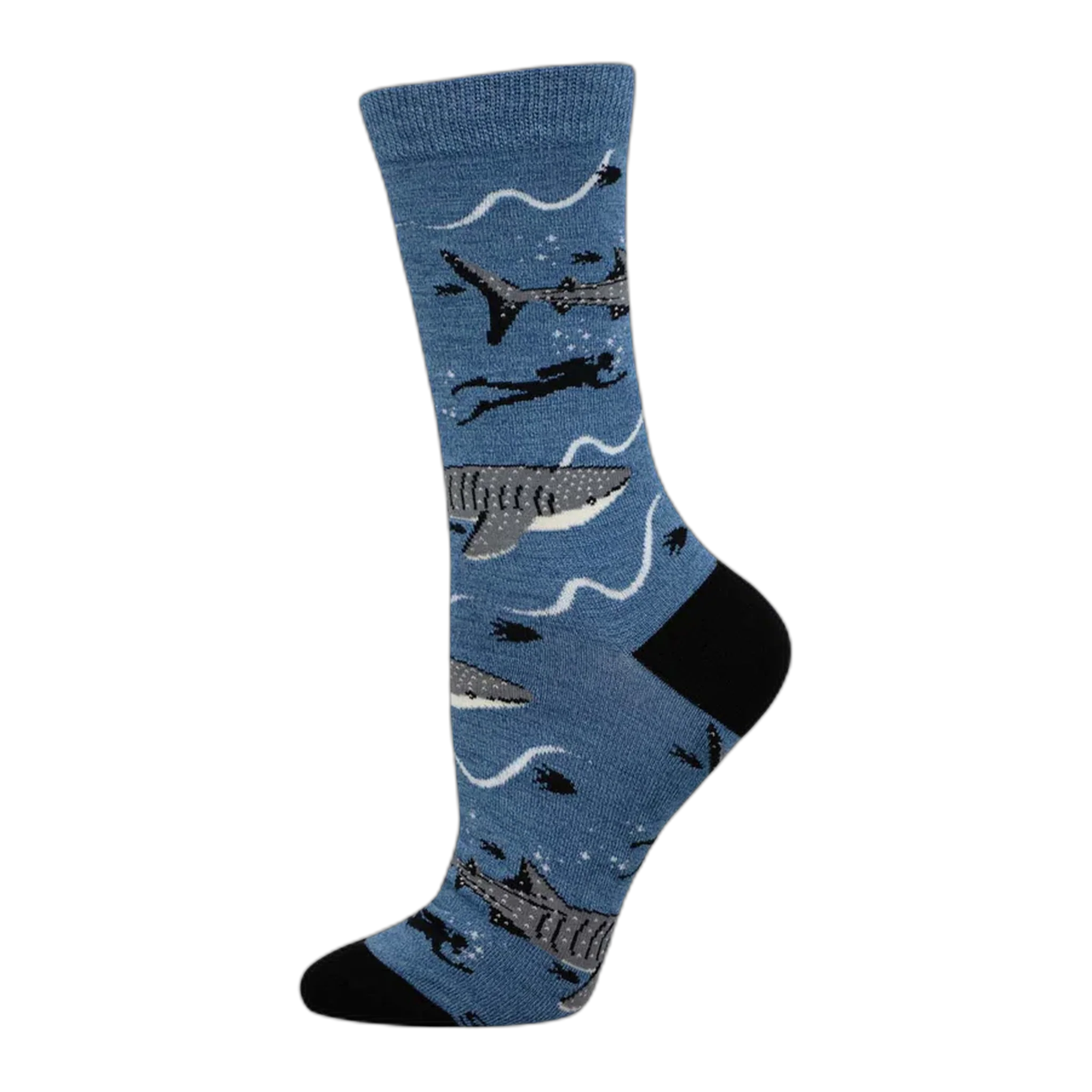 Whale Shark Bam