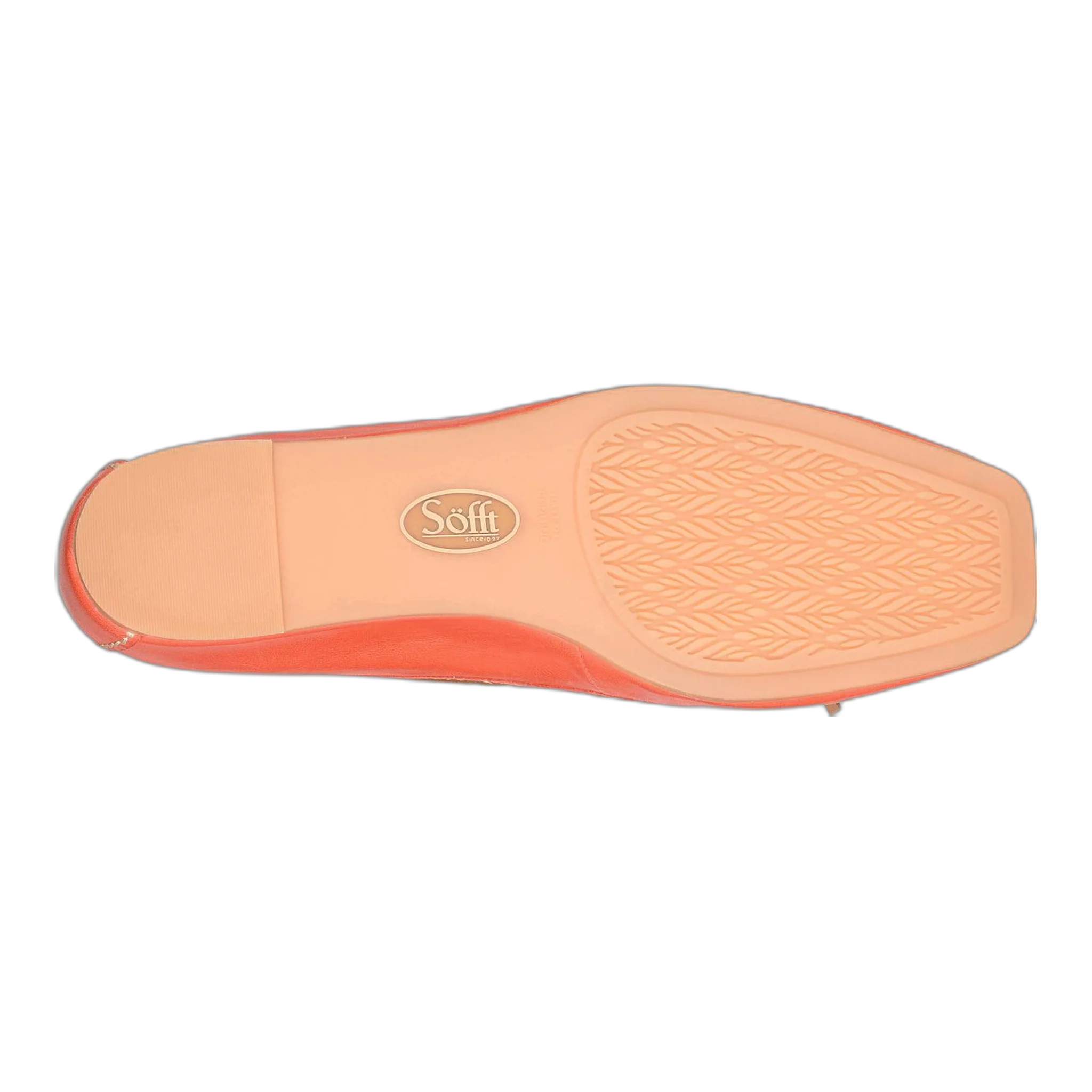 Pam - Image 4