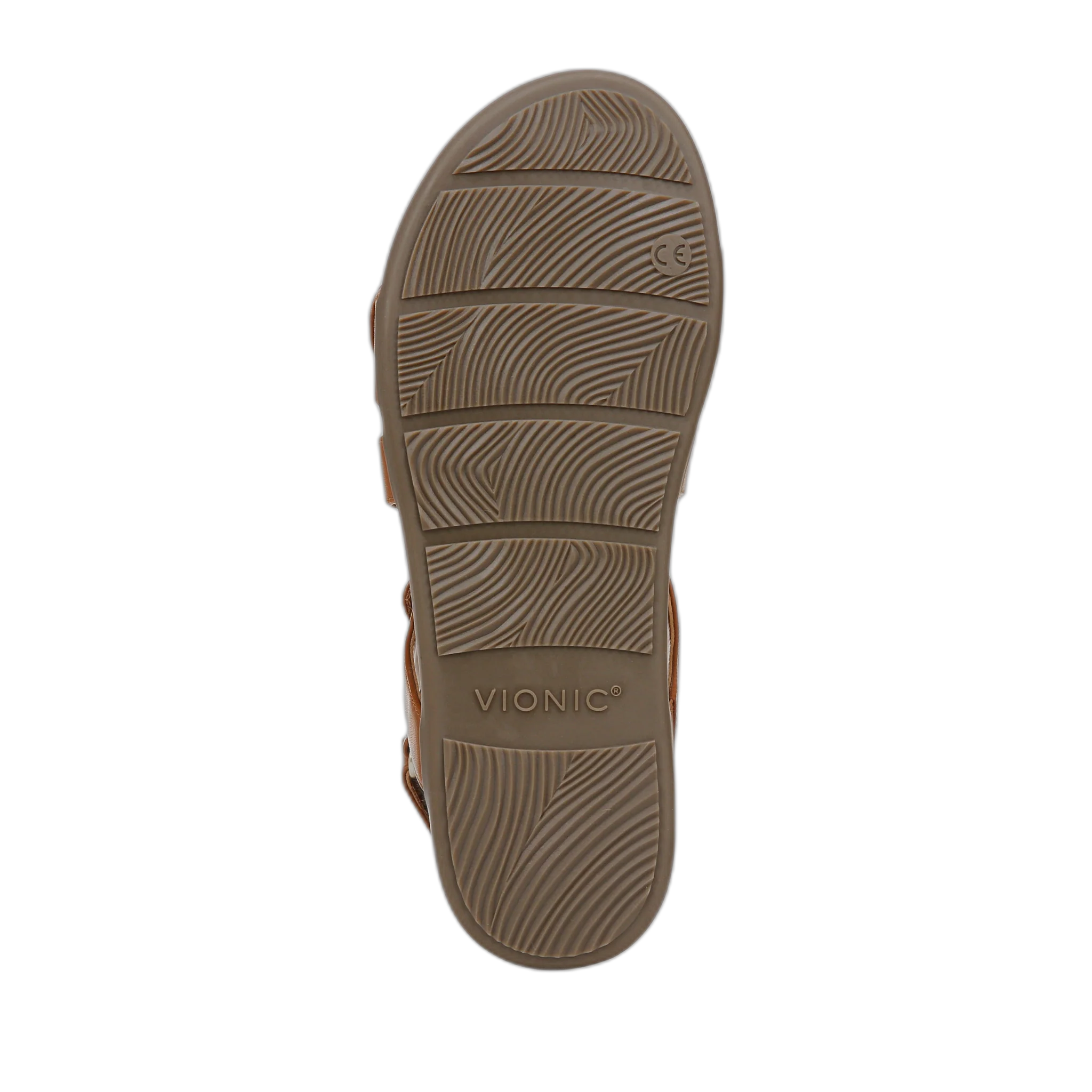 Cypress - Image 9
