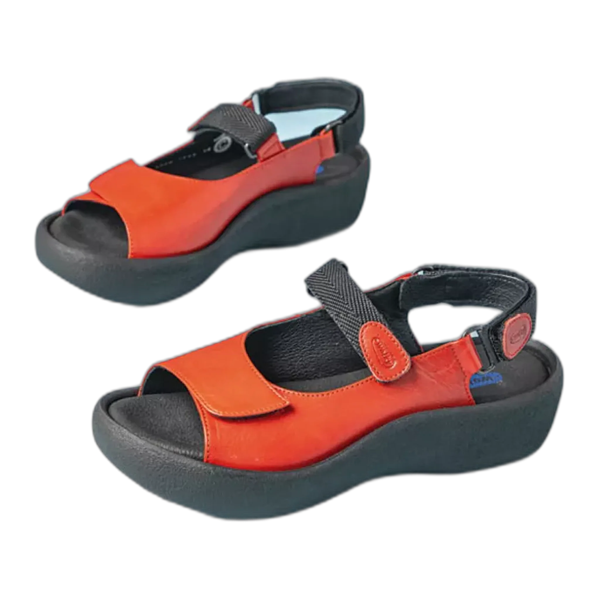 Jewel - Image 6