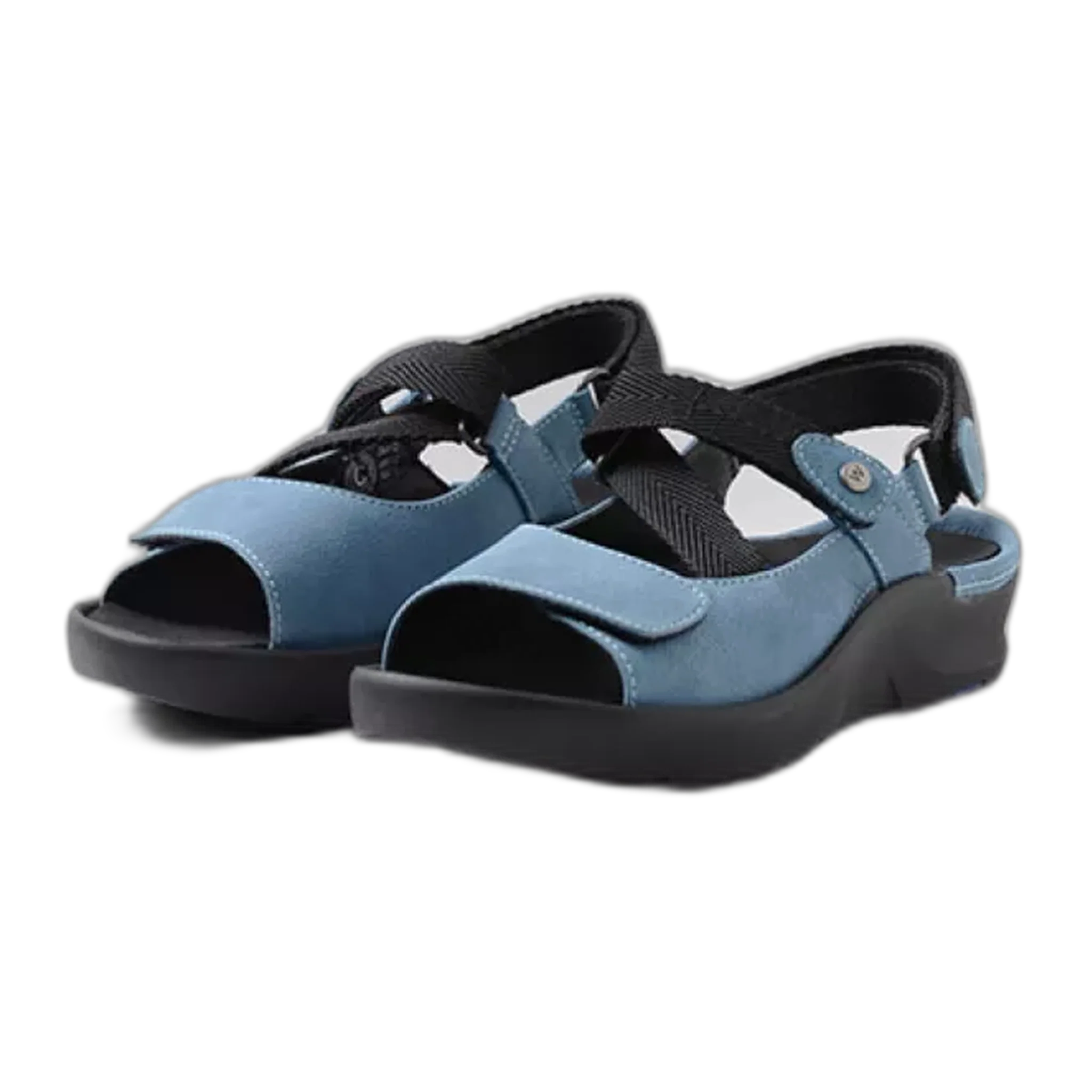 Lisse - Image 3
