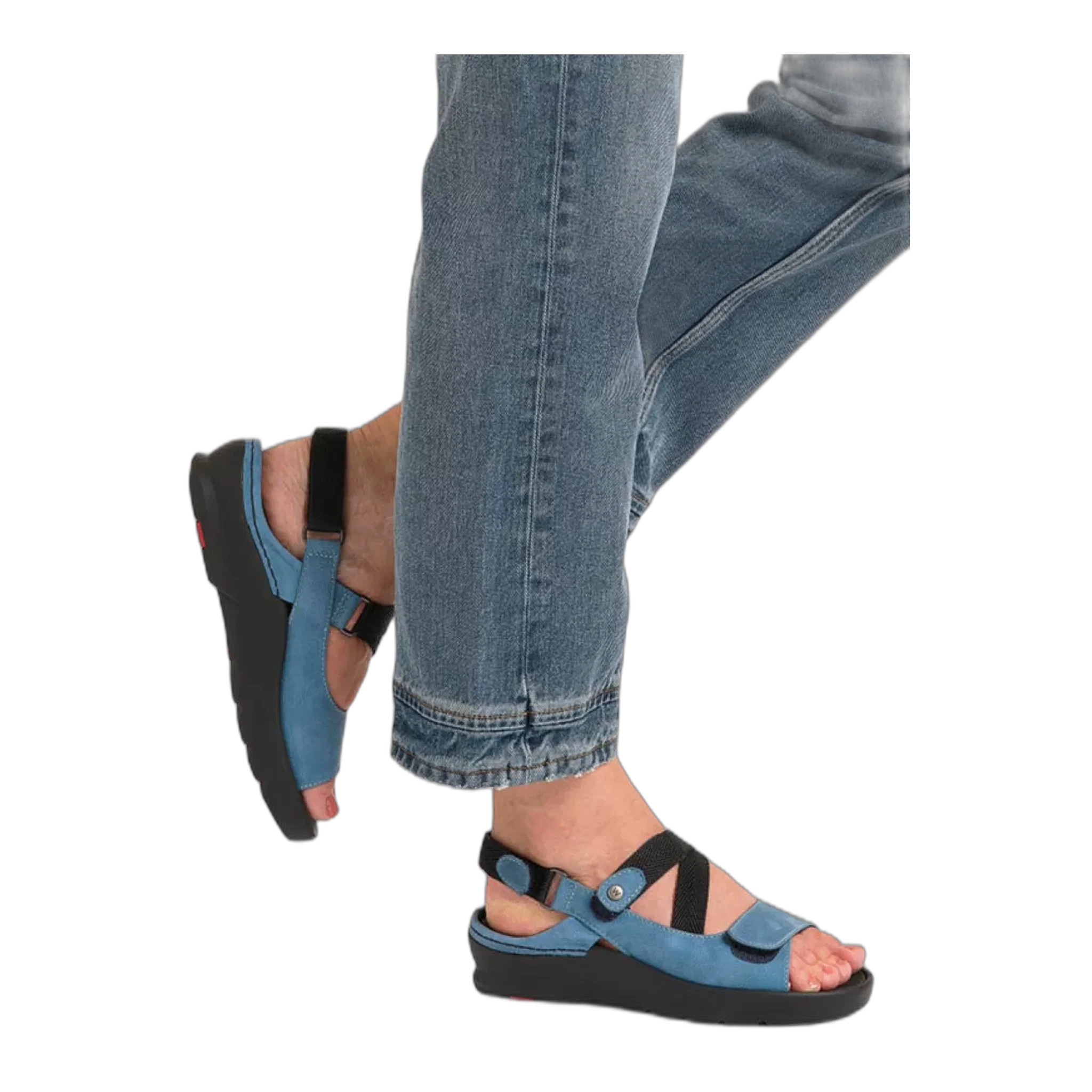 Lisse - Image 7