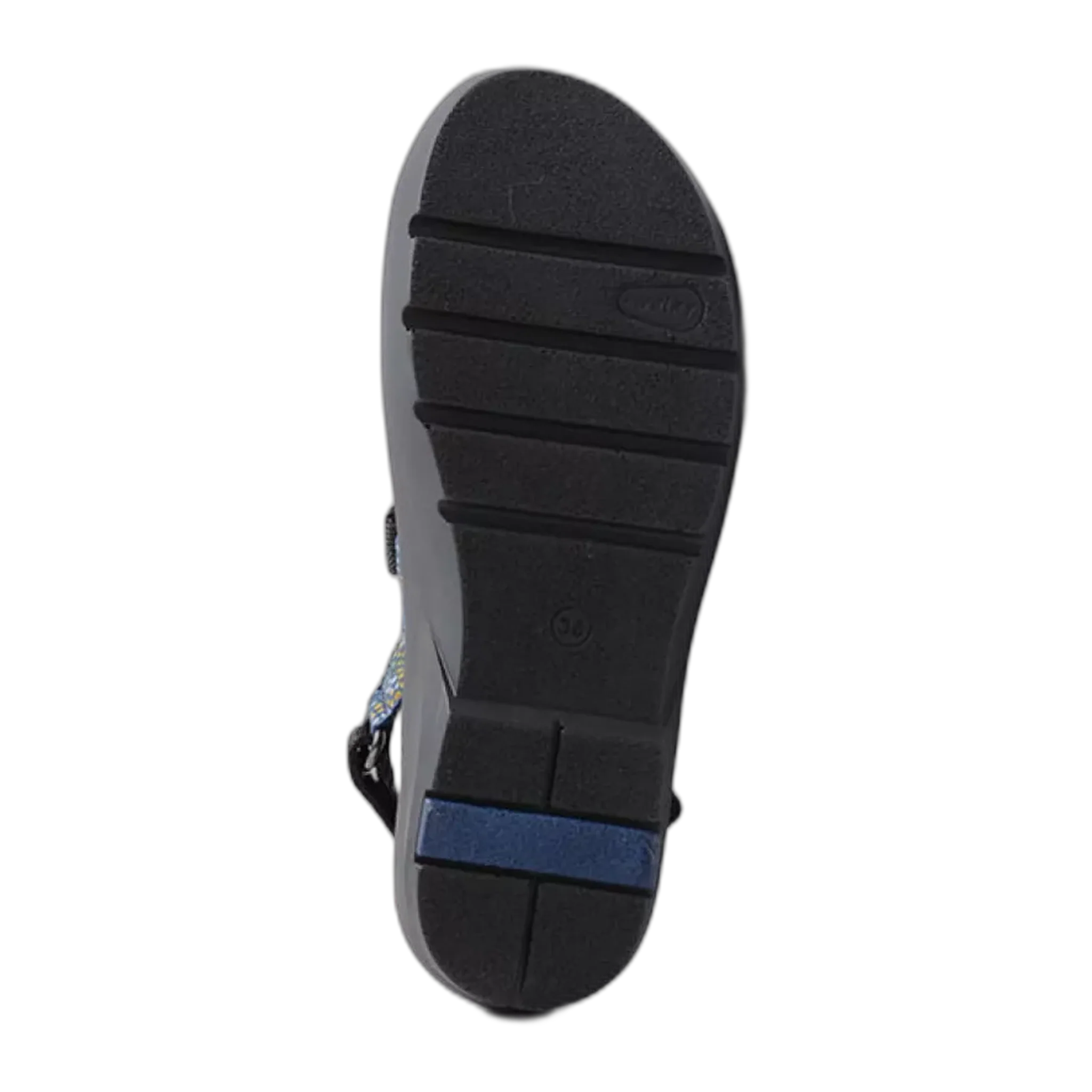 Lisse - Image 3