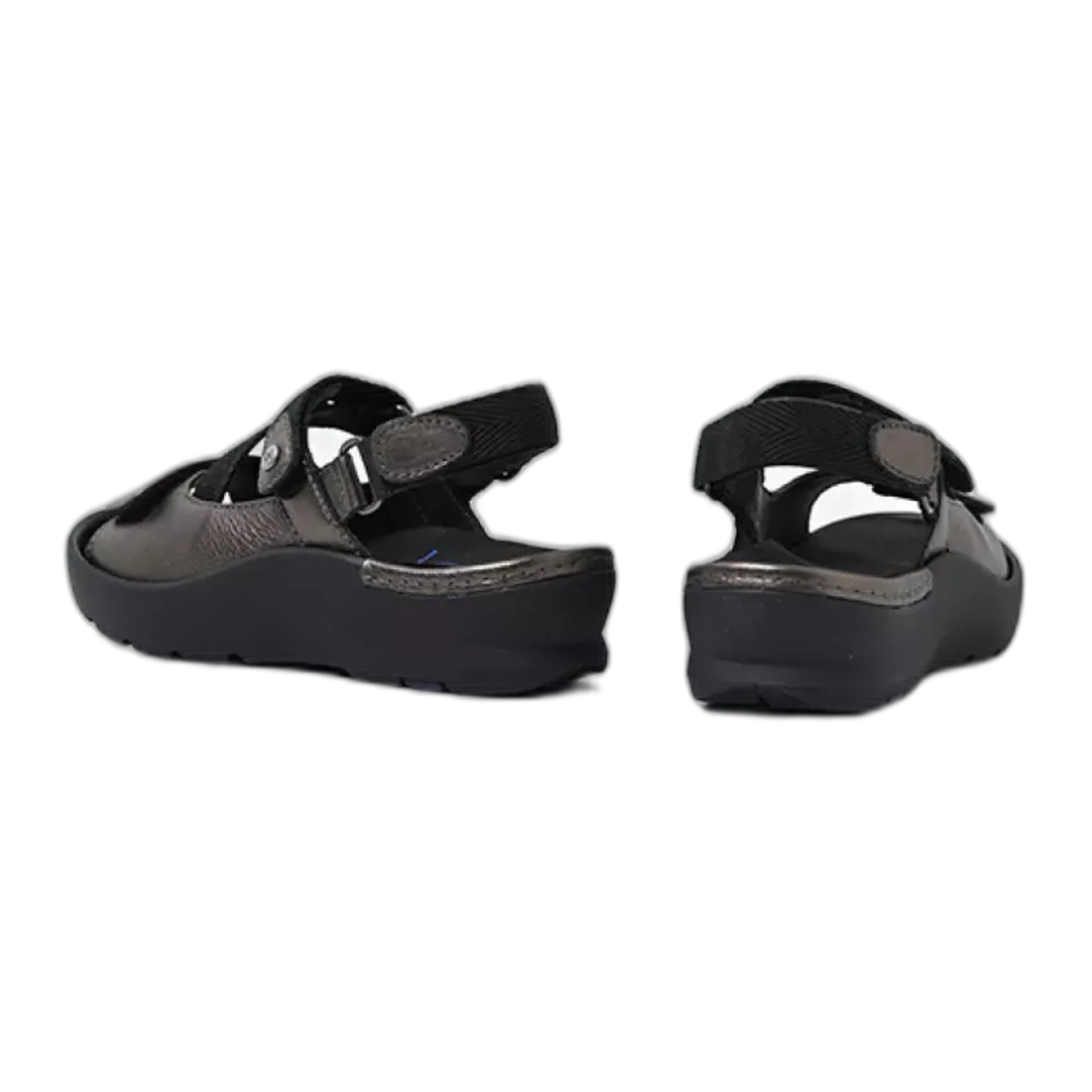 Lisse - Image 2