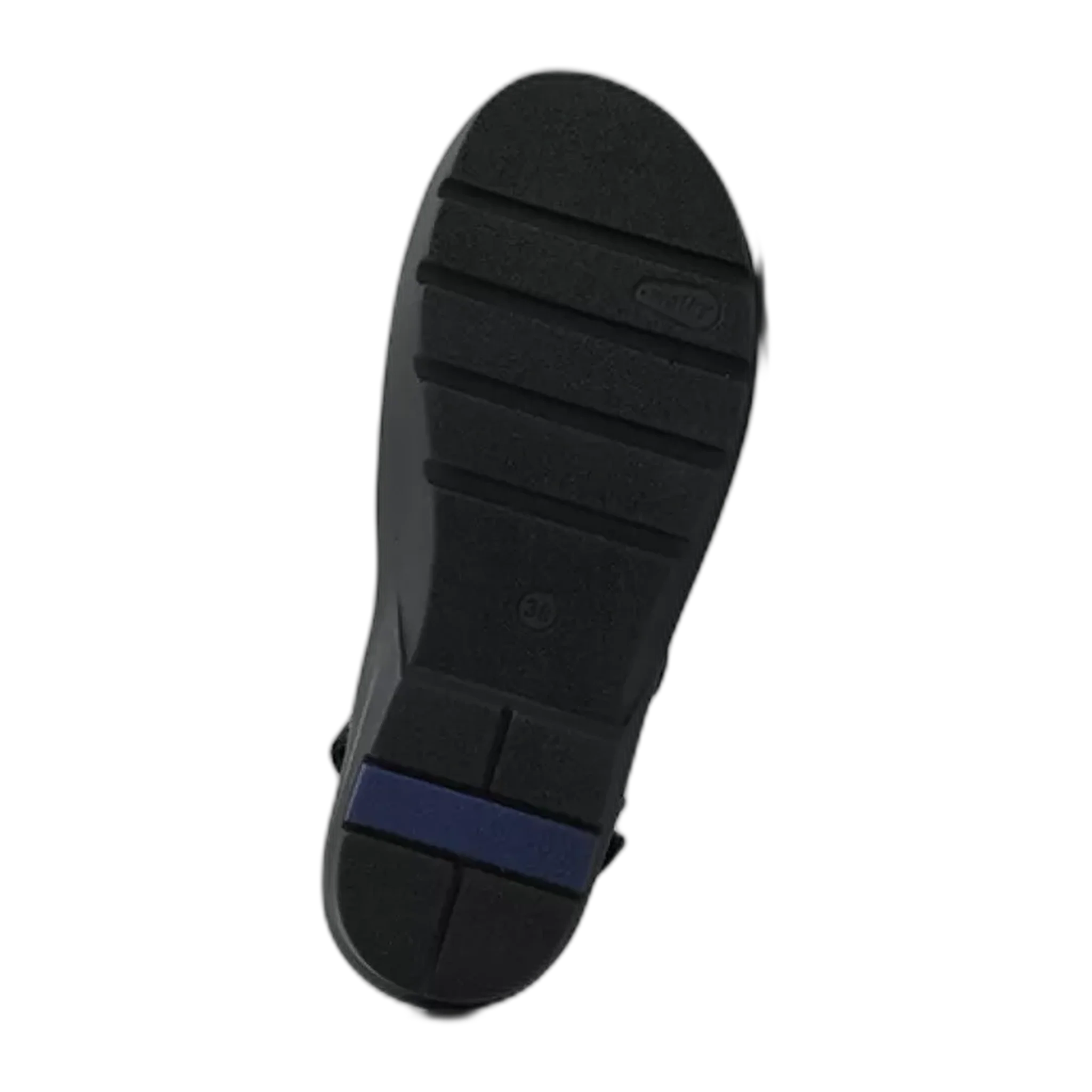 Lisse - Image 3