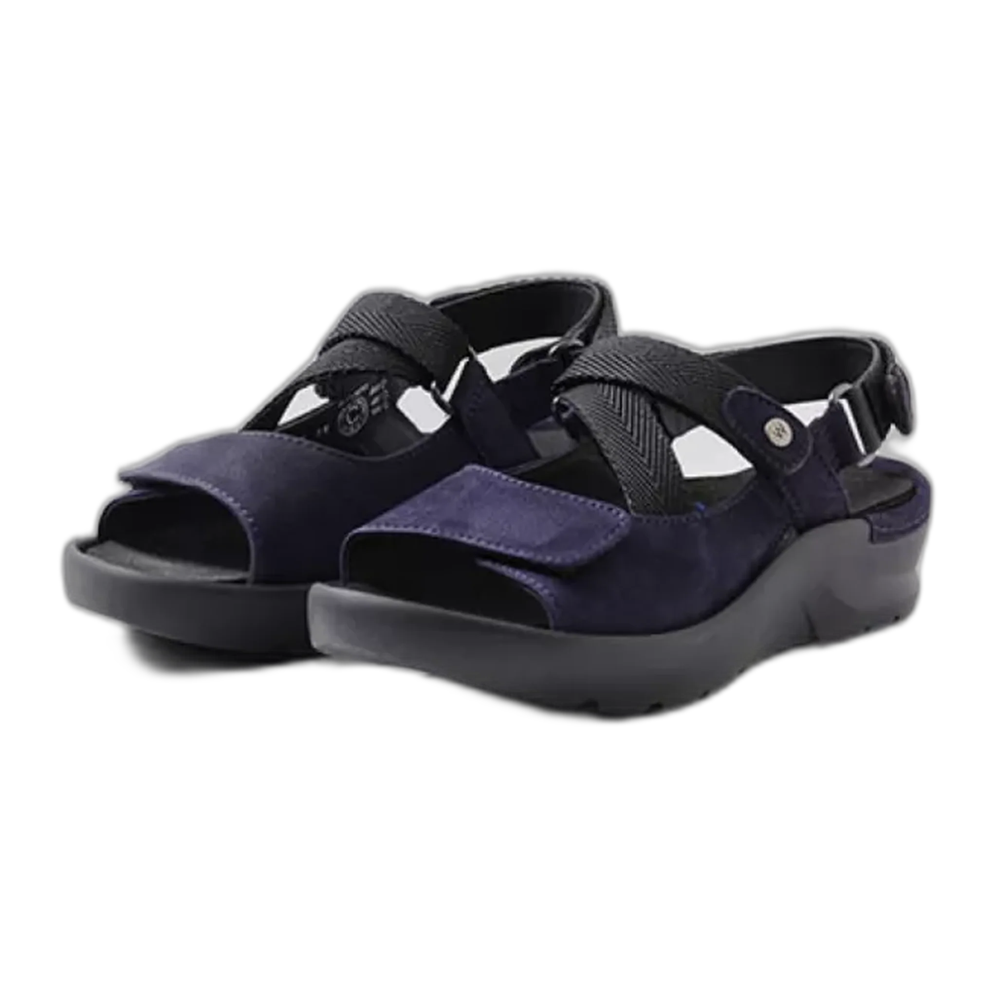 Lisse - Image 2