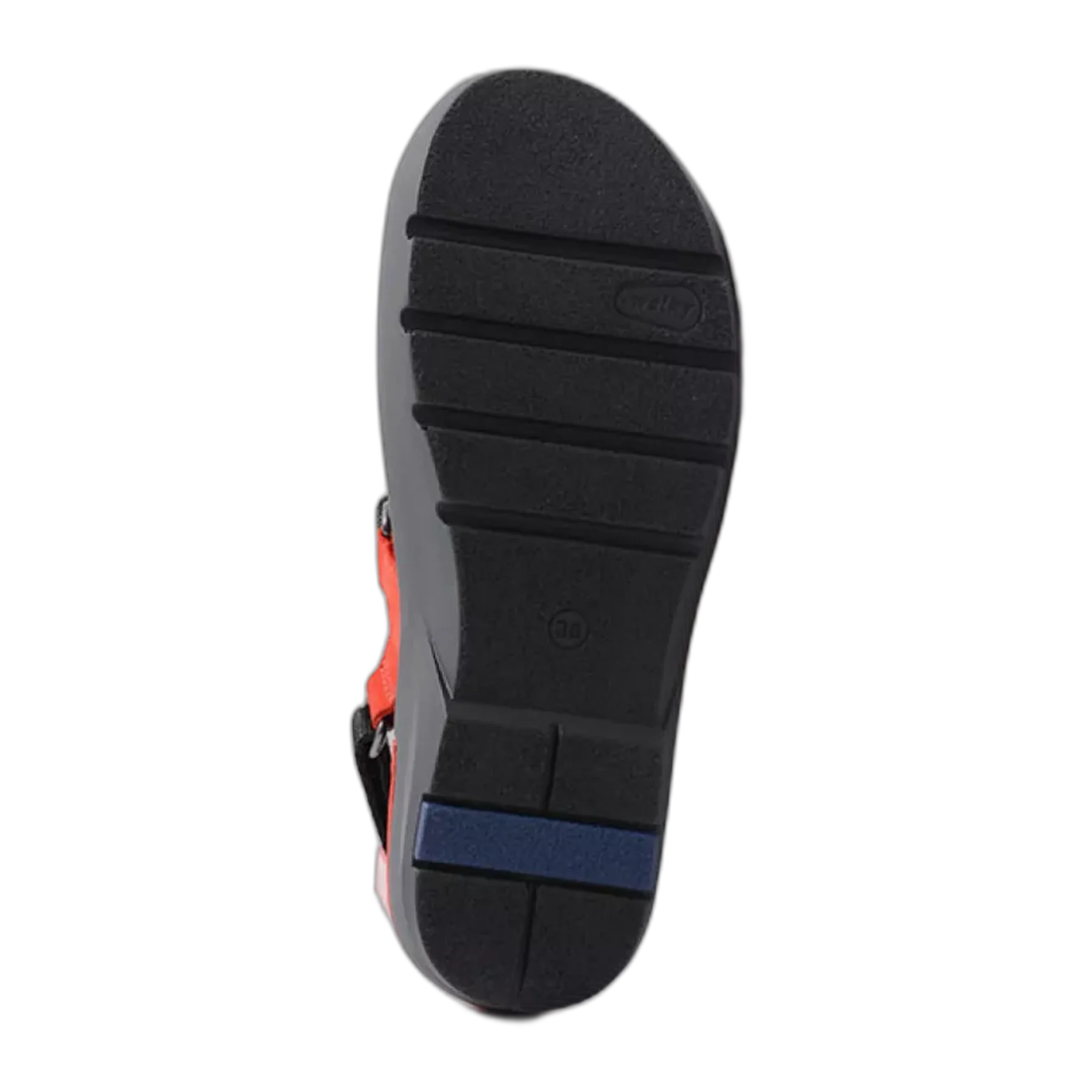 Lisse - Image 5