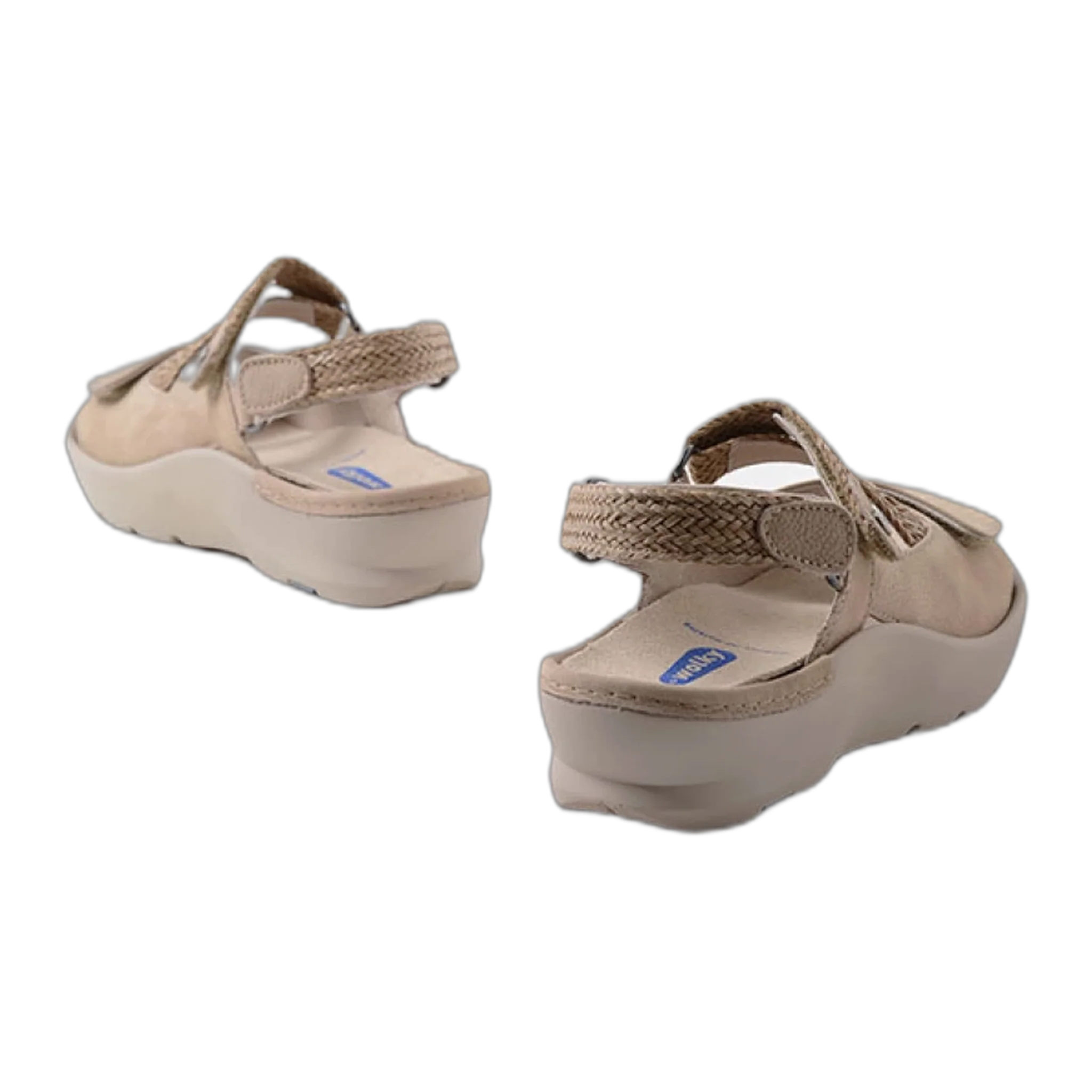 Lisse - Image 3