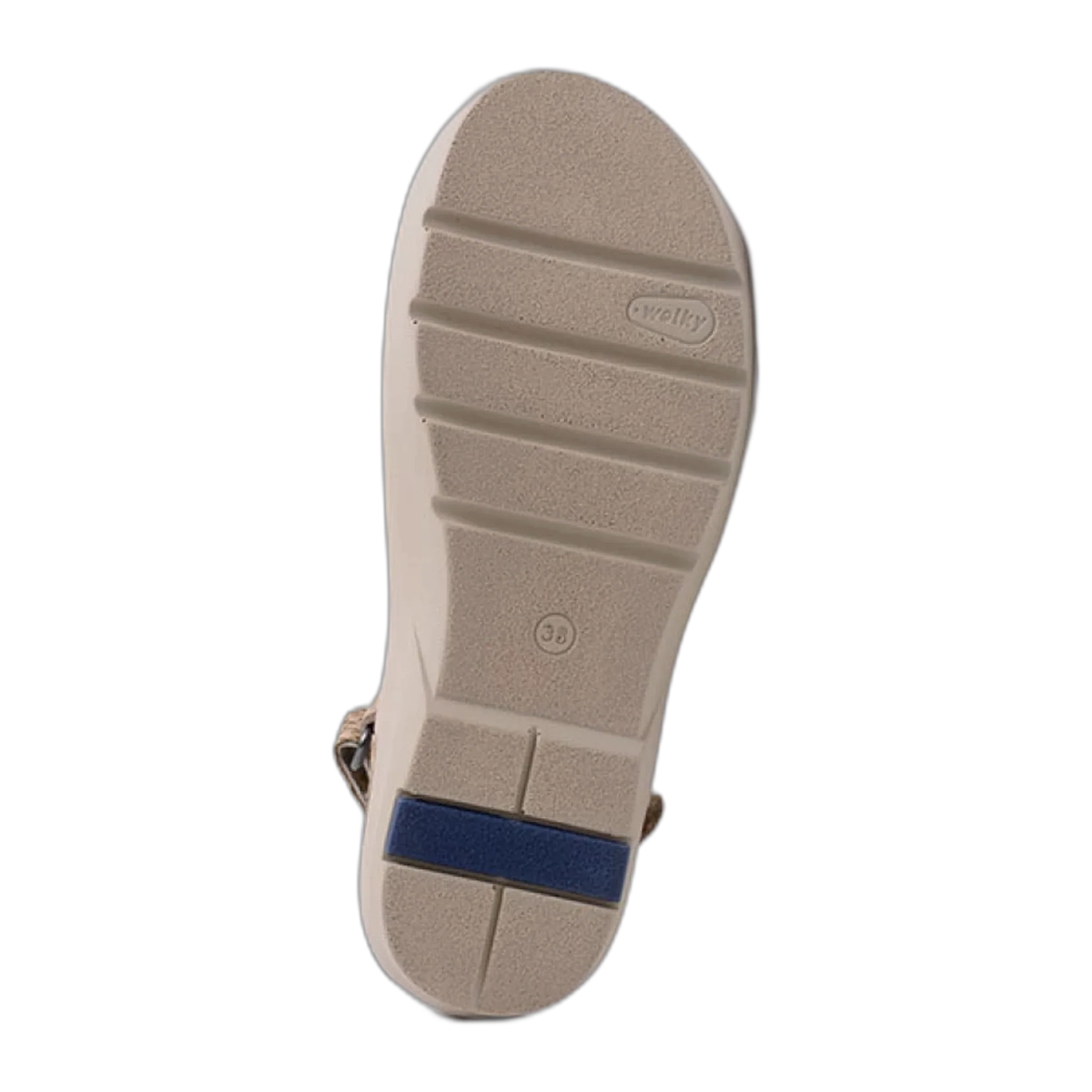 Lisse - Image 4