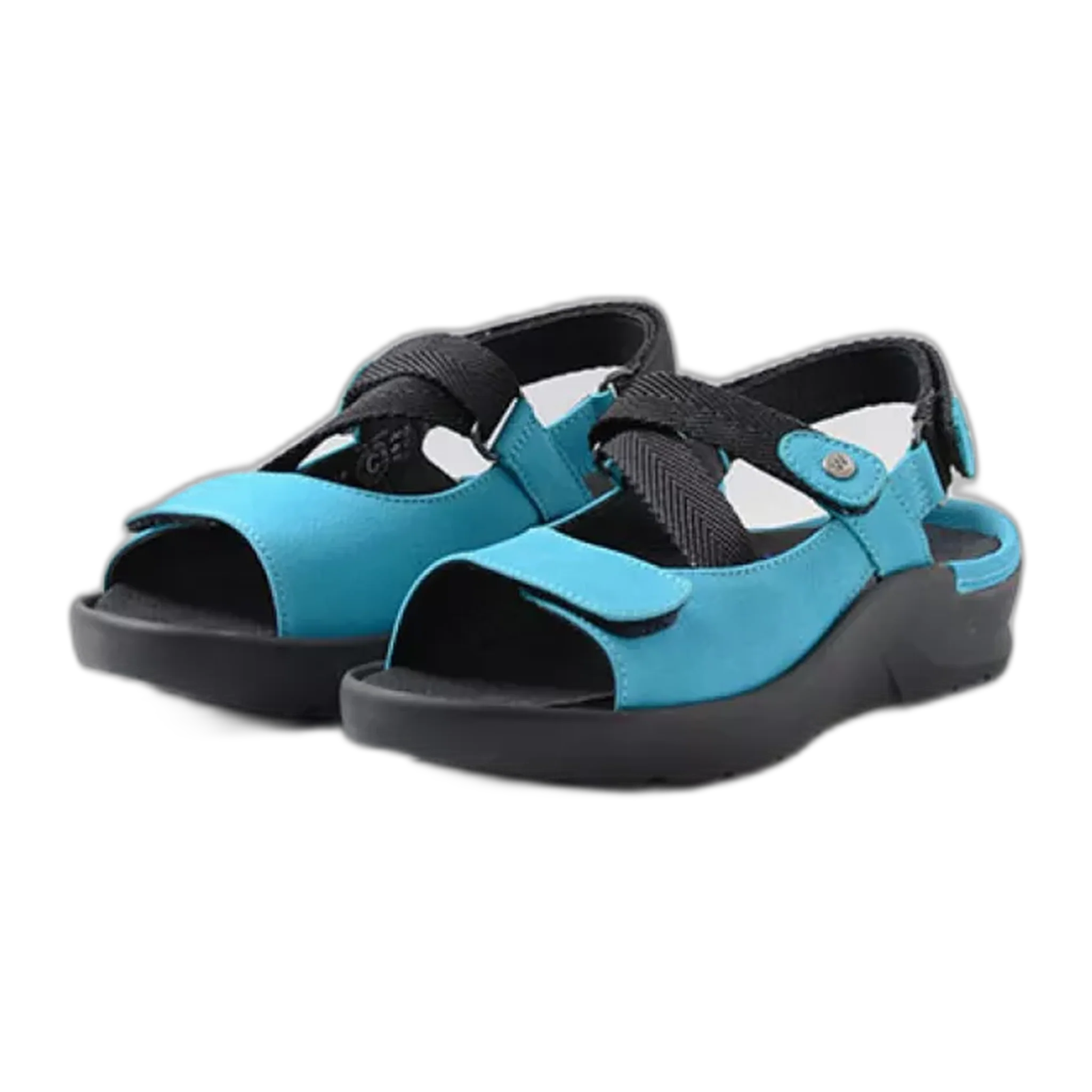 Lisse - Image 3