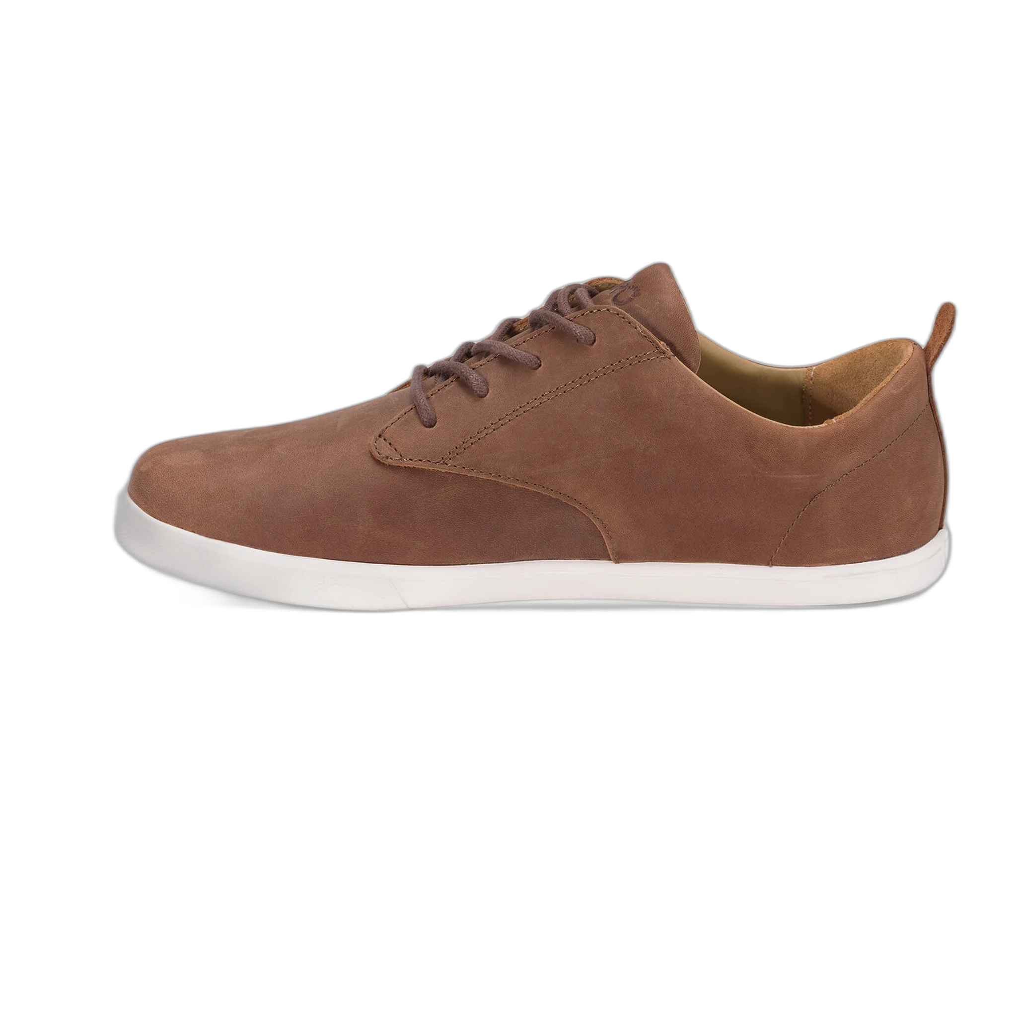 Glenn - Image 5